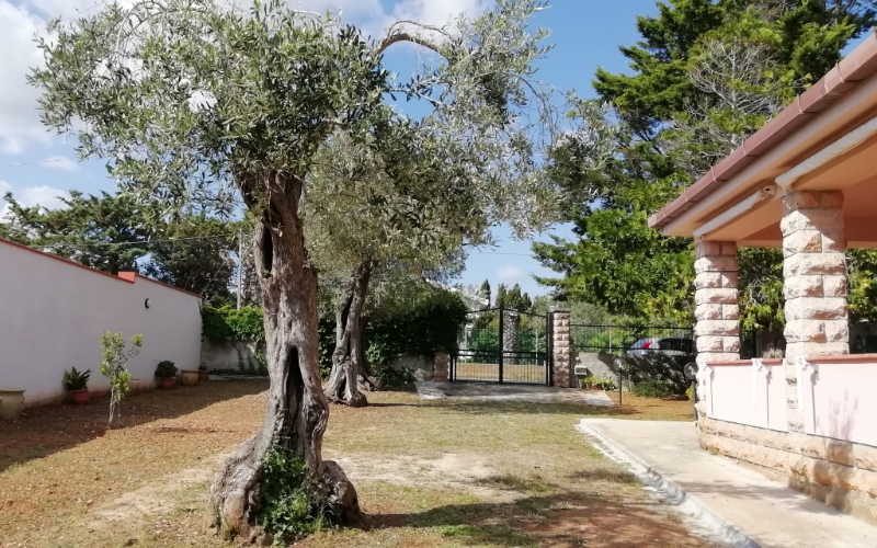 System.Collections.Generic.List`1[BluePillow.Application.SearchEngine.Dto.PhotoDto]?.ElementAt(3)?.Caption