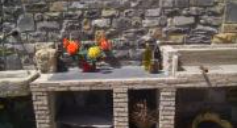 System.Collections.Generic.List`1[BluePillow.Application.SearchEngine.Dto.PhotoDto]?.ElementAt(2)?.Caption