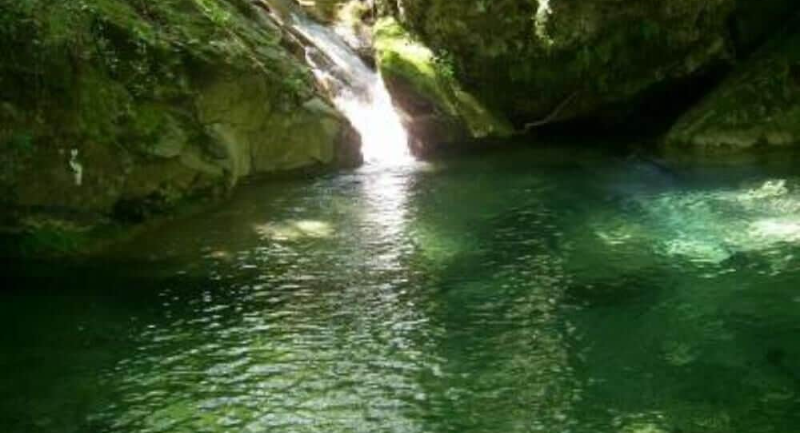 System.Collections.Generic.List`1[BluePillow.Application.SearchEngine.Dto.PhotoDto]?.ElementAt(0)?.Caption