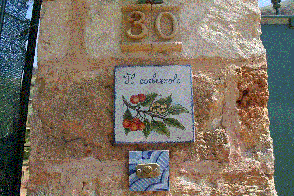 System.Collections.Generic.List`1[BluePillow.Application.SearchEngine.Dto.PhotoDto]?.ElementAt(0)?.Caption