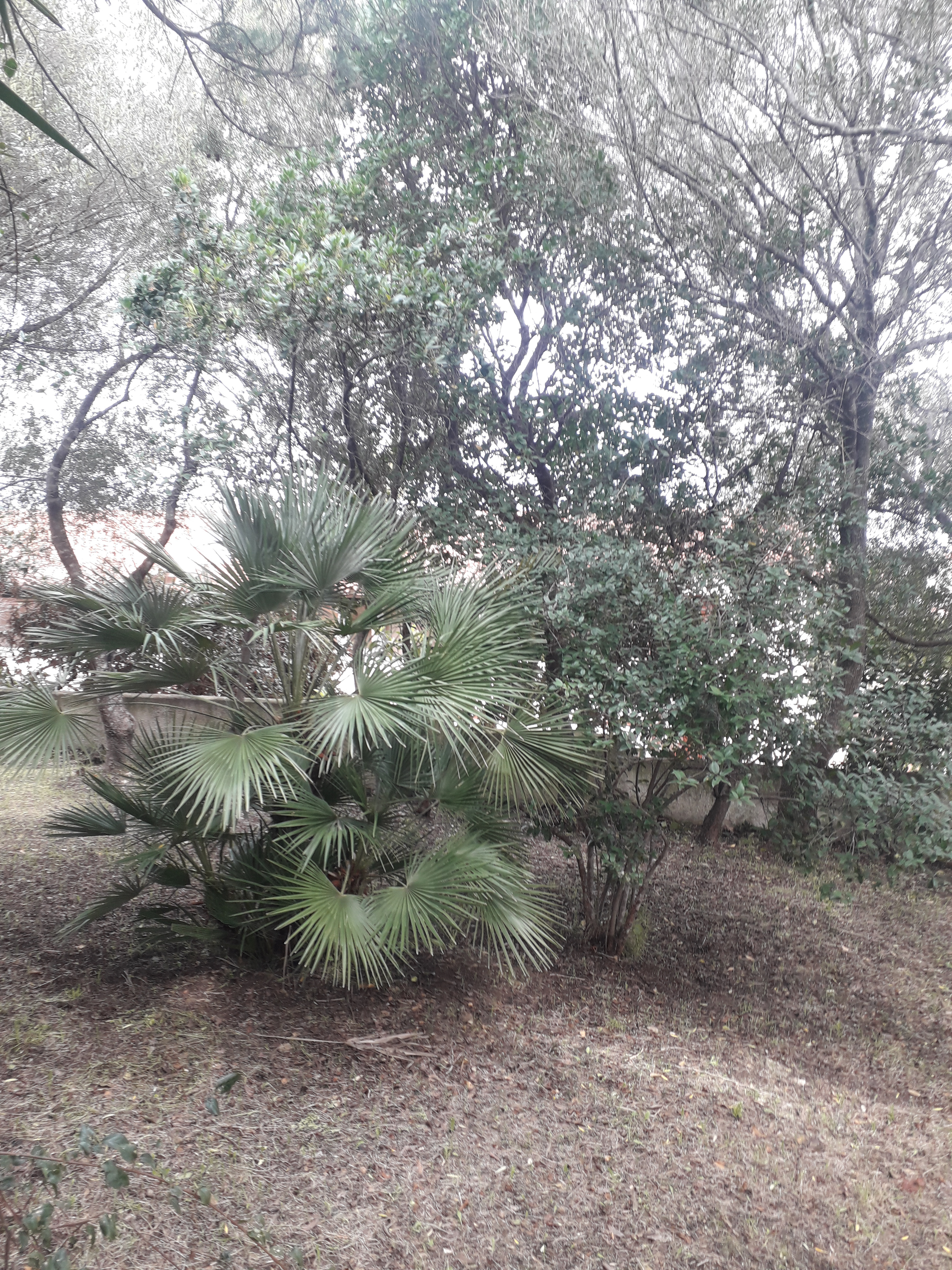 System.Collections.Generic.List`1[BluePillow.Application.SearchEngine.Dto.PhotoDto]?.ElementAt(1)?.Caption