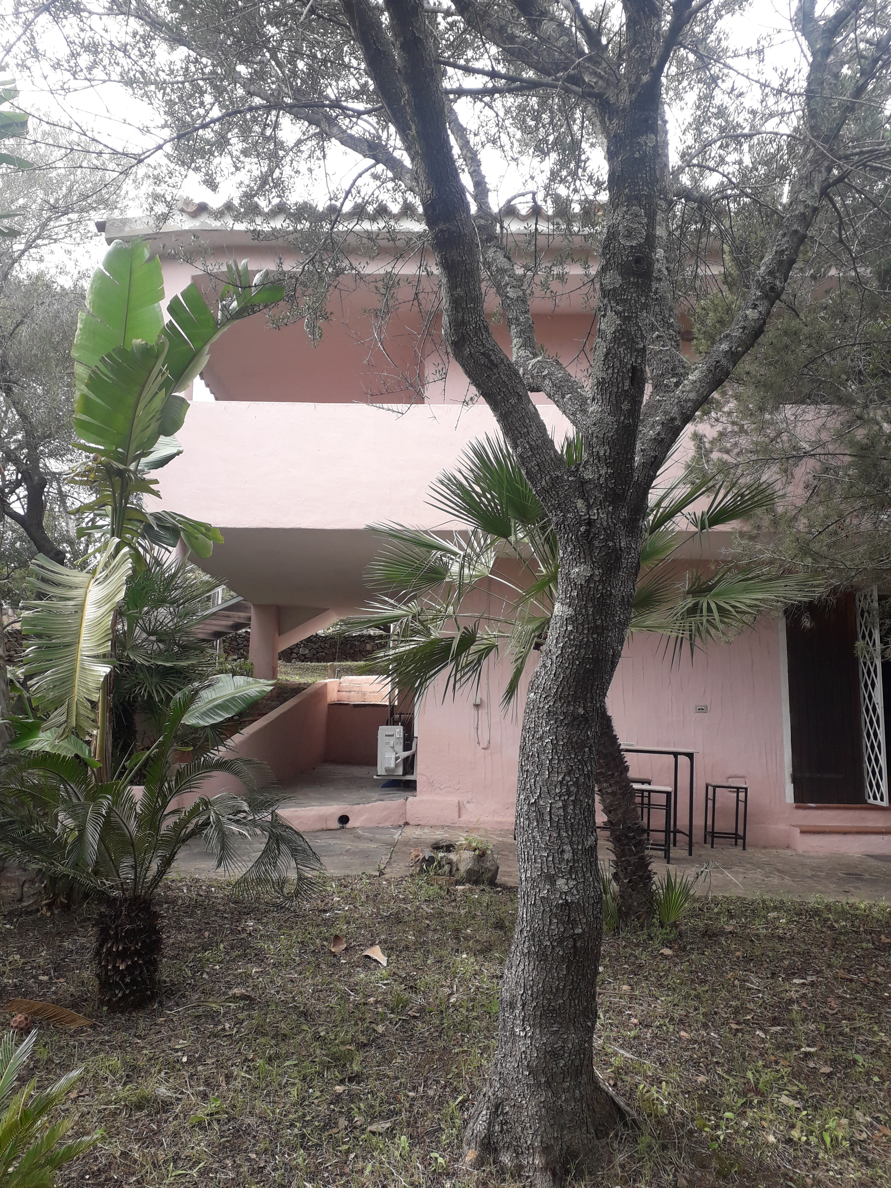 System.Collections.Generic.List`1[BluePillow.Application.SearchEngine.Dto.PhotoDto]?.ElementAt(2)?.Caption