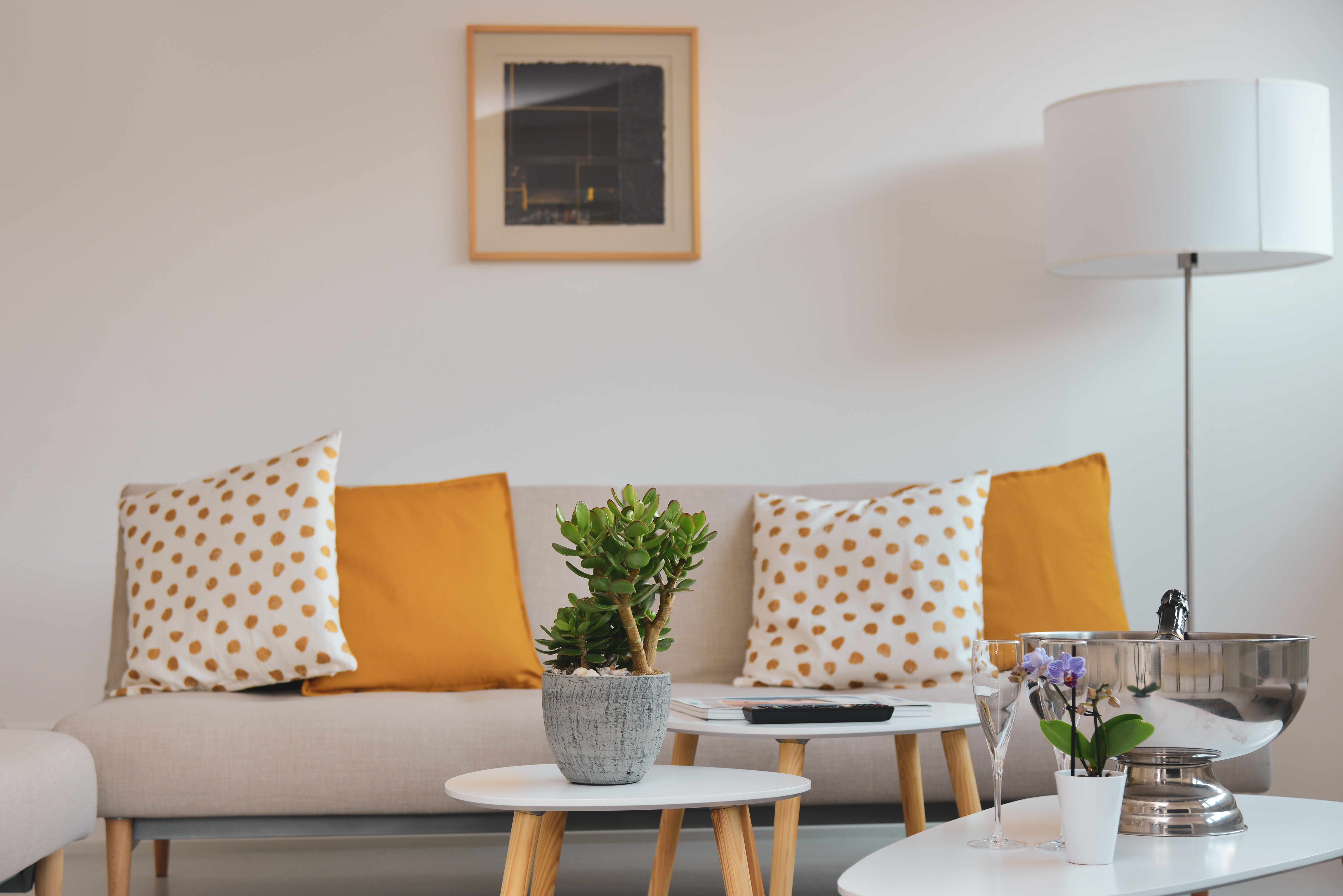 System.Collections.Generic.List`1[BluePillow.Application.SearchEngine.Dto.PhotoDto]?.ElementAt(1)?.Caption