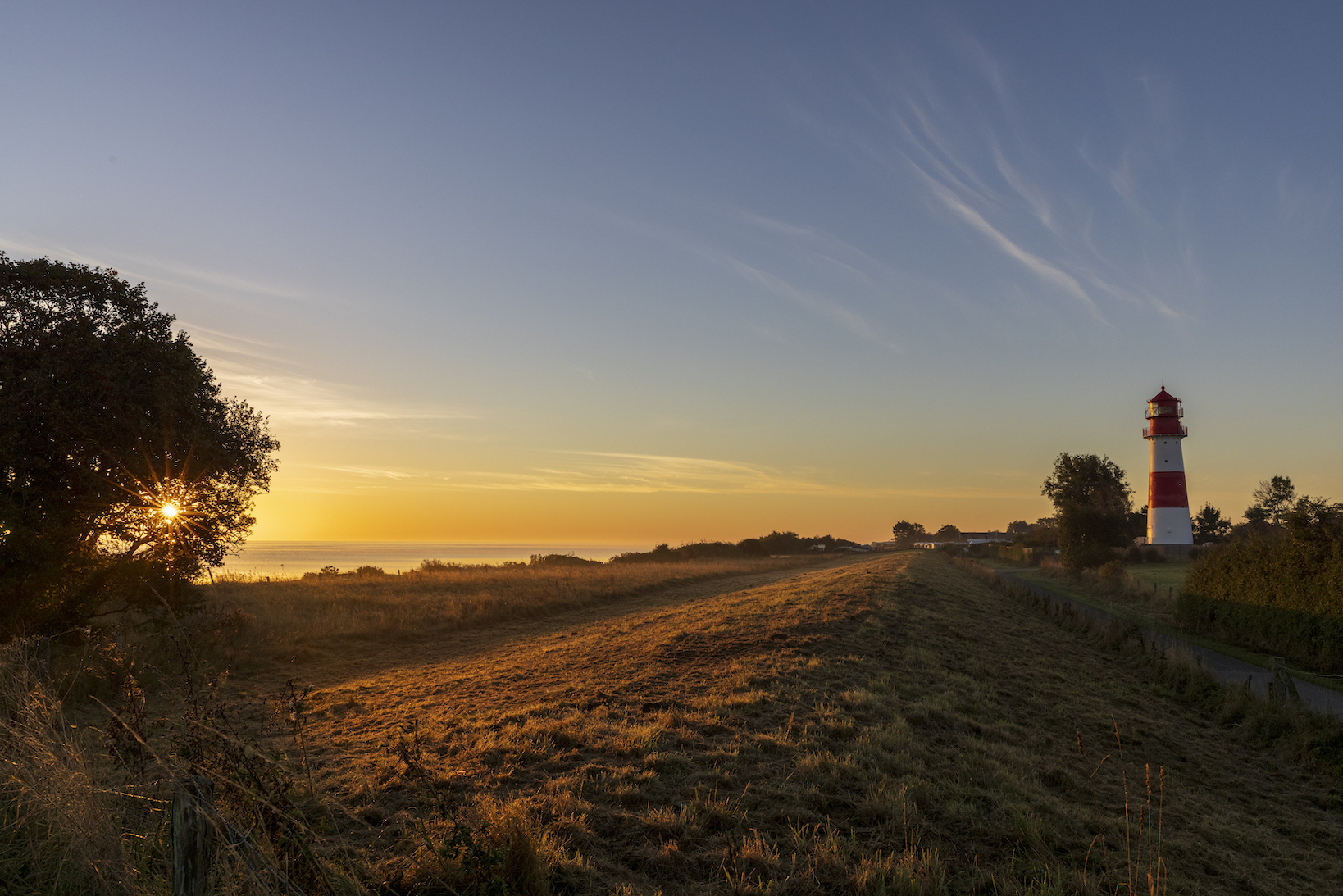 System.Collections.Generic.List`1[BluePillow.Application.SearchEngine.Dto.PhotoDto]?.ElementAt(0)?.Caption