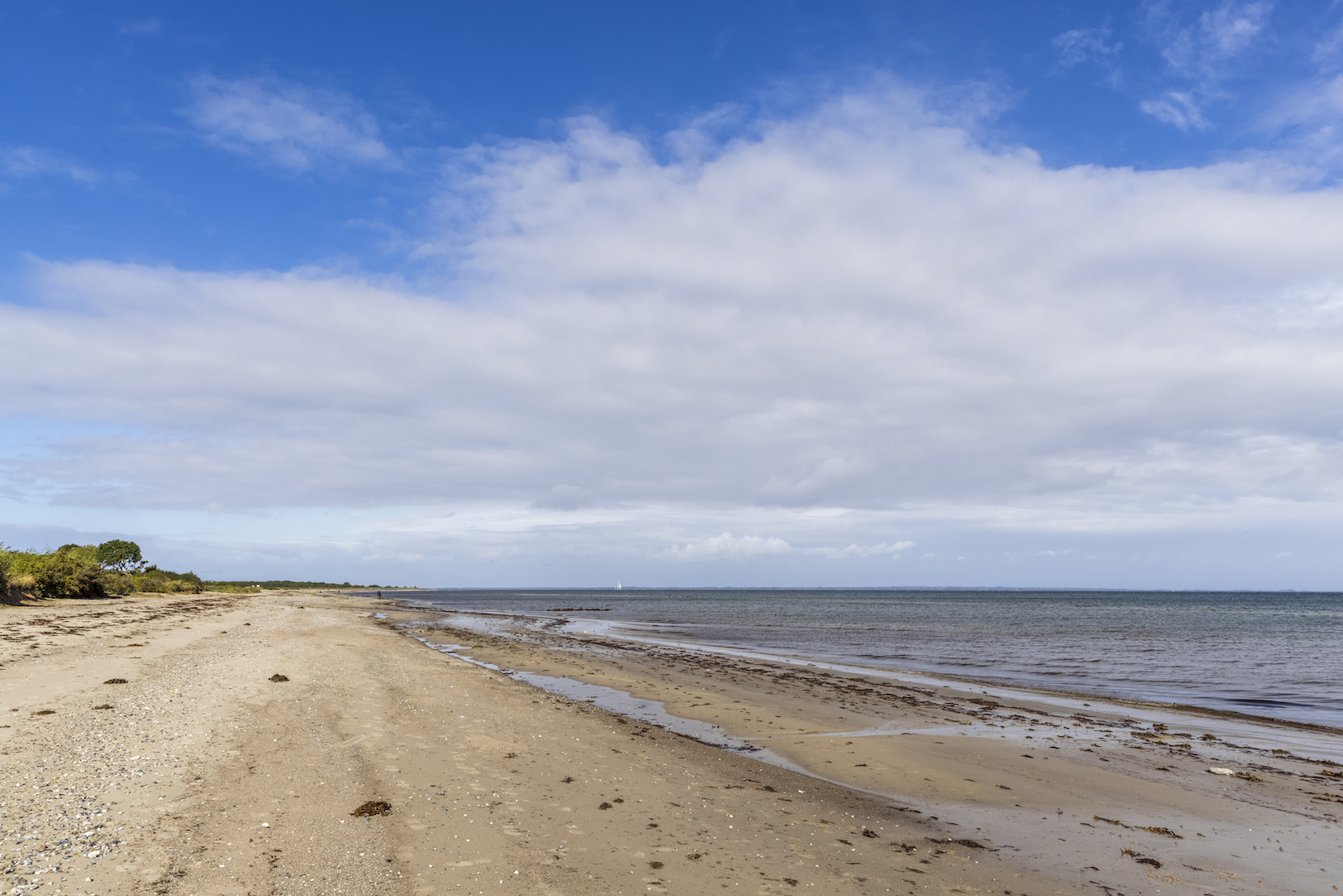 System.Collections.Generic.List`1[BluePillow.Application.SearchEngine.Dto.PhotoDto]?.ElementAt(2)?.Caption