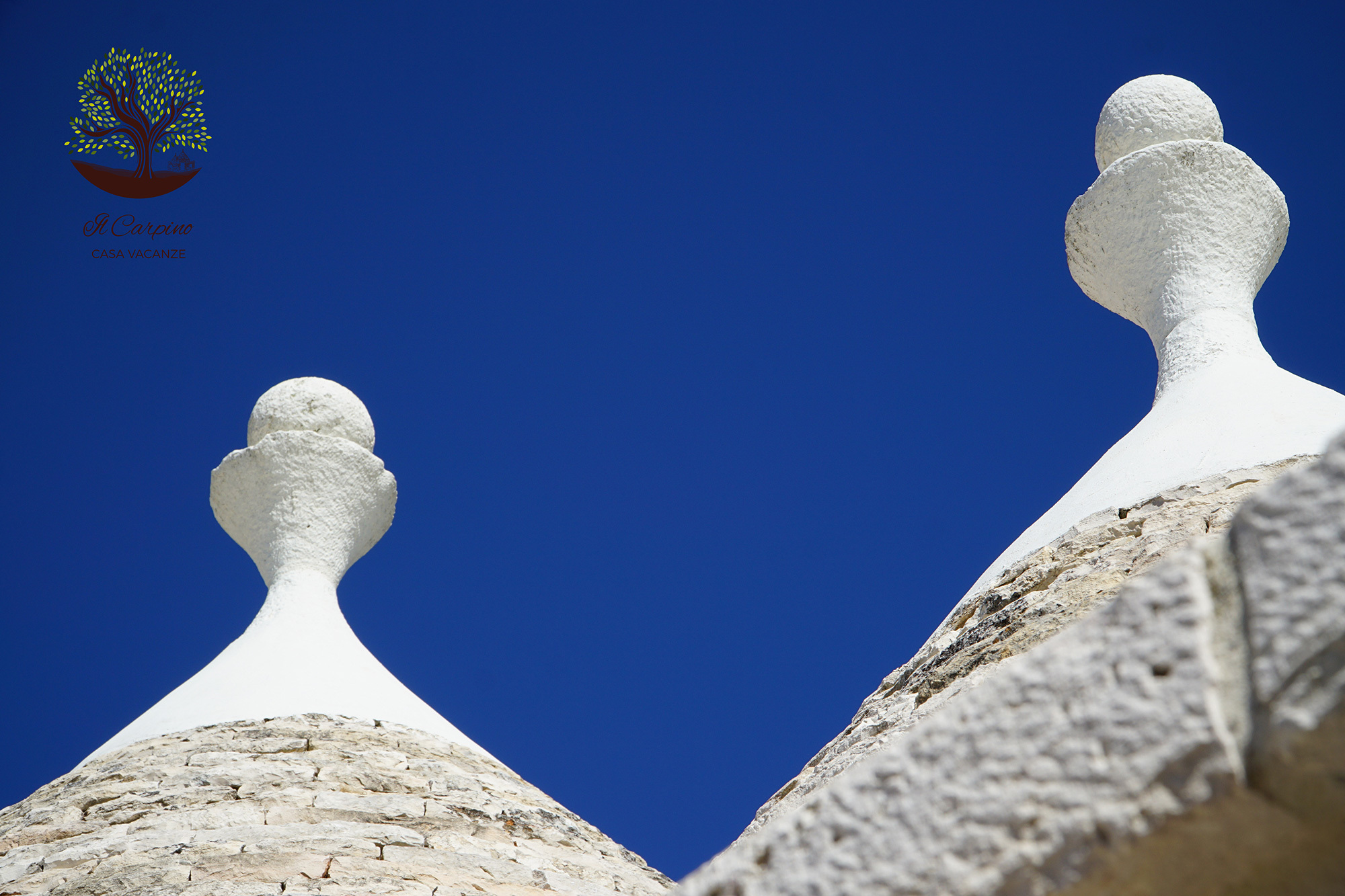 System.Collections.Generic.List`1[BluePillow.Application.SearchEngine.Dto.PhotoDto]?.ElementAt(0)?.Caption