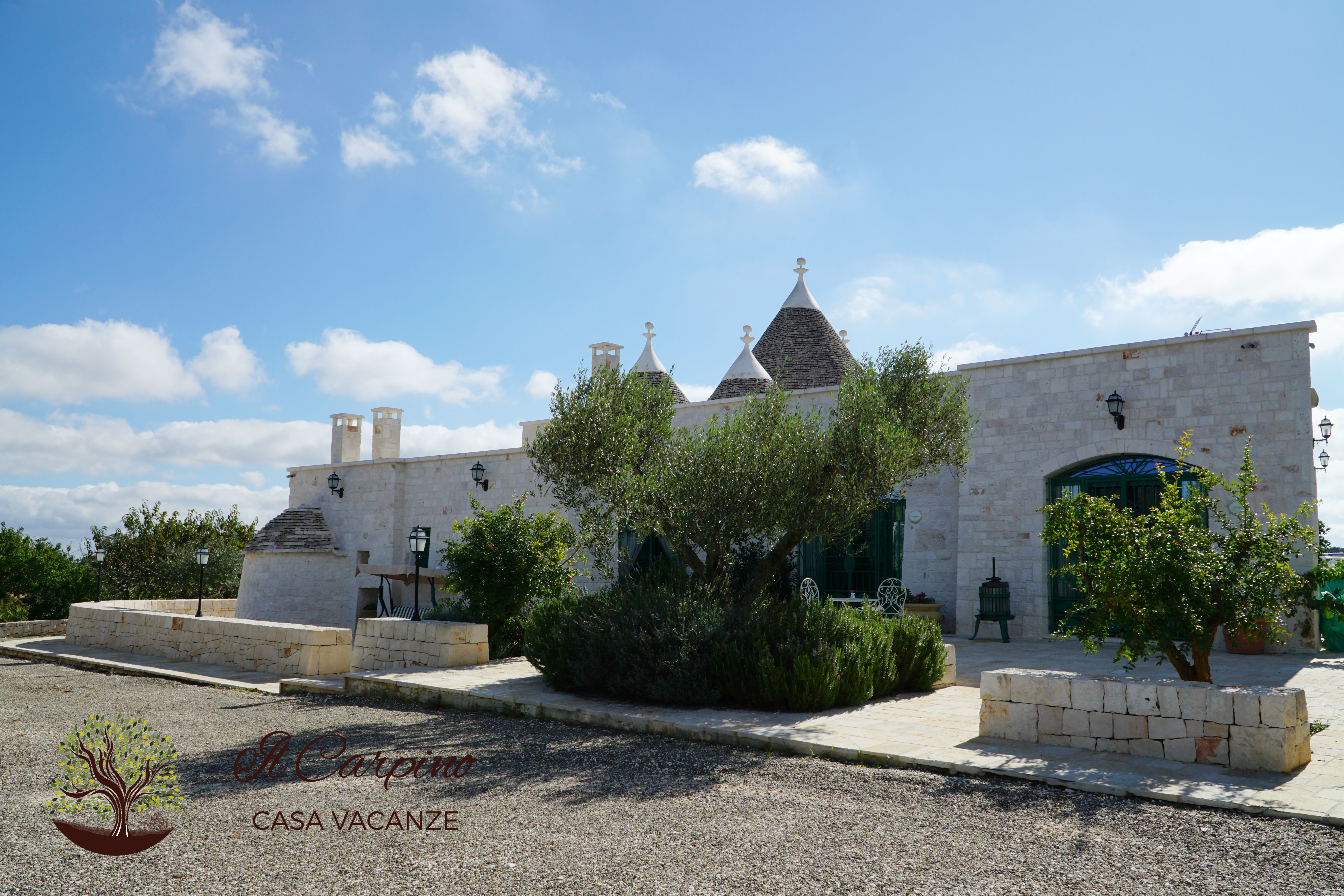 System.Collections.Generic.List`1[BluePillow.Application.SearchEngine.Dto.PhotoDto]?.ElementAt(1)?.Caption