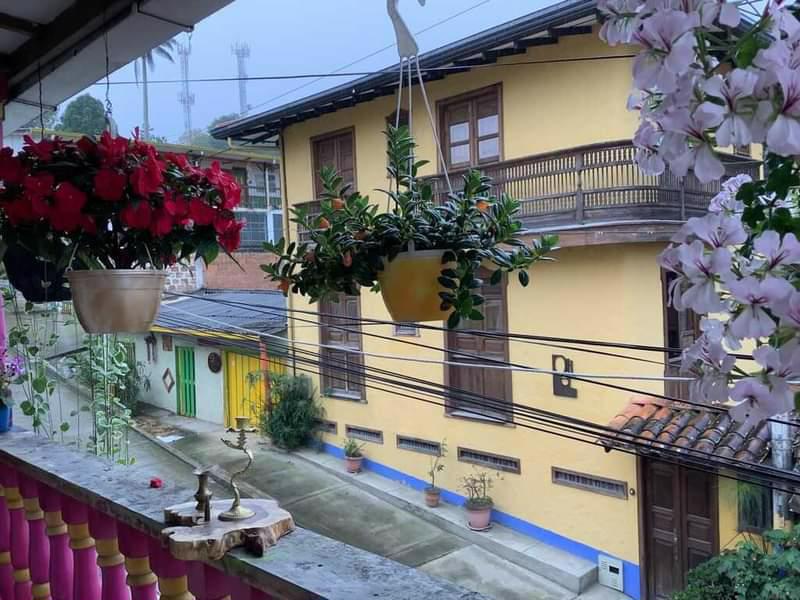 System.Collections.Generic.List`1[BluePillow.Application.SearchEngine.Dto.PhotoDto]?.ElementAt(0)?.Caption