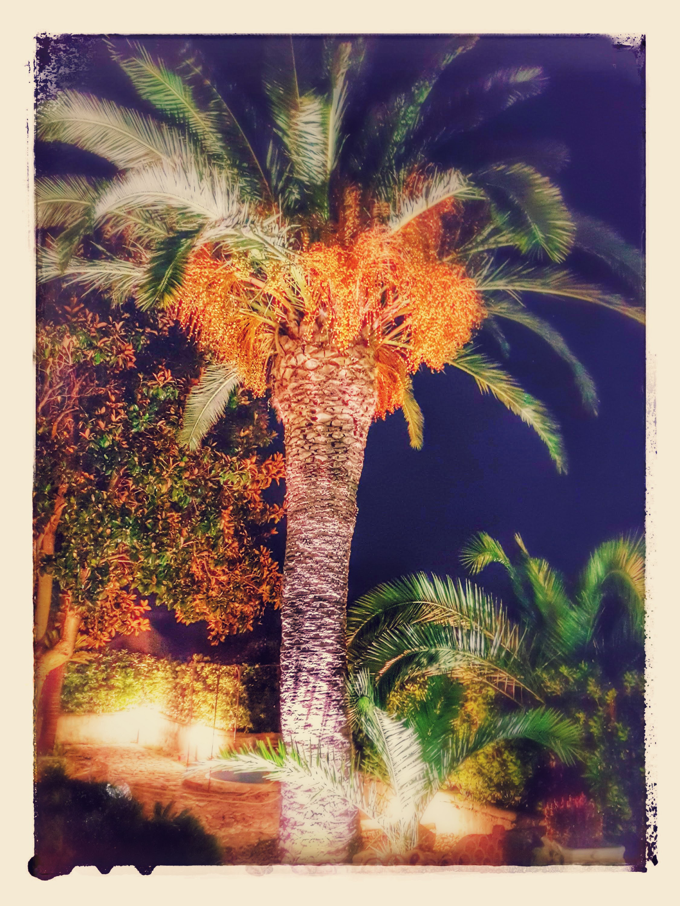 System.Collections.Generic.List`1[BluePillow.Application.SearchEngine.Dto.PhotoDto]?.ElementAt(1)?.Caption