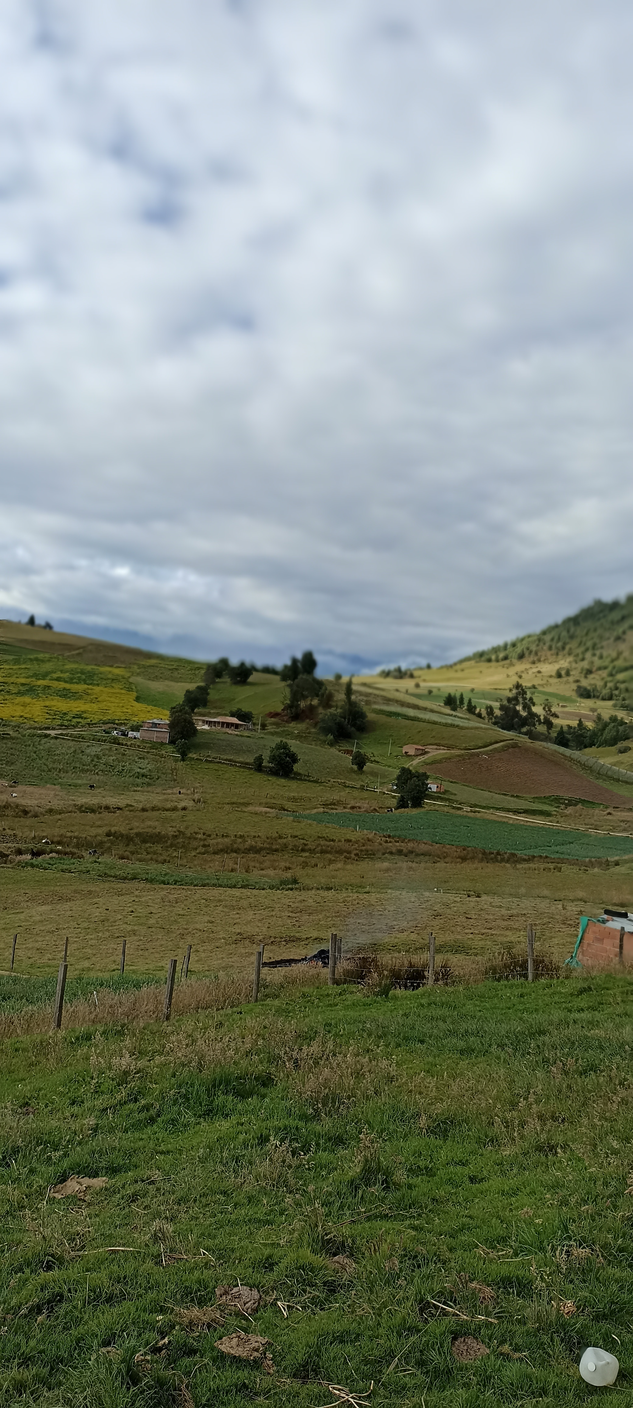 System.Collections.Generic.List`1[BluePillow.Application.SearchEngine.Dto.PhotoDto]?.ElementAt(2)?.Caption