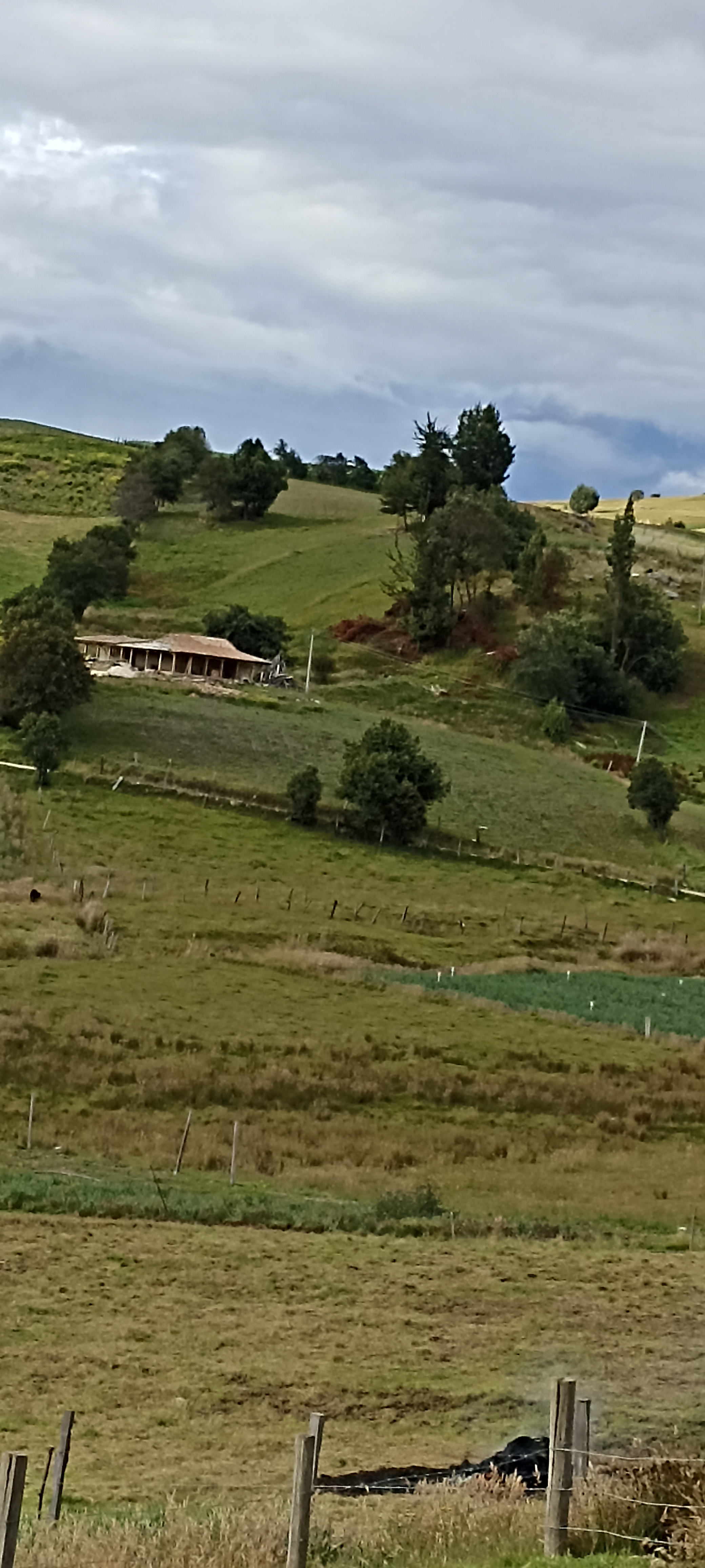 System.Collections.Generic.List`1[BluePillow.Application.SearchEngine.Dto.PhotoDto]?.ElementAt(1)?.Caption