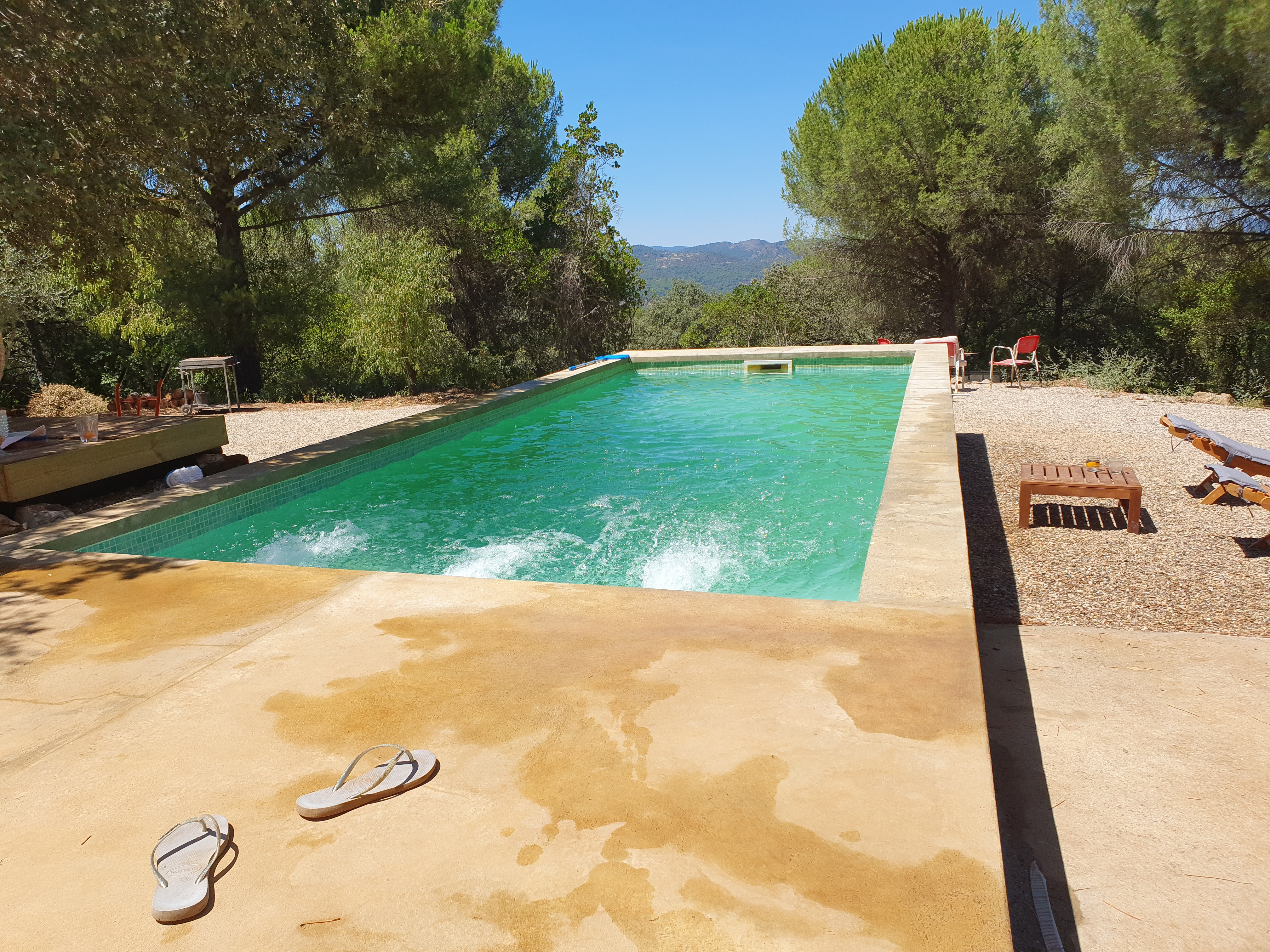 System.Collections.Generic.List`1[BluePillow.Application.SearchEngine.Dto.PhotoDto]?.ElementAt(0)?.Caption