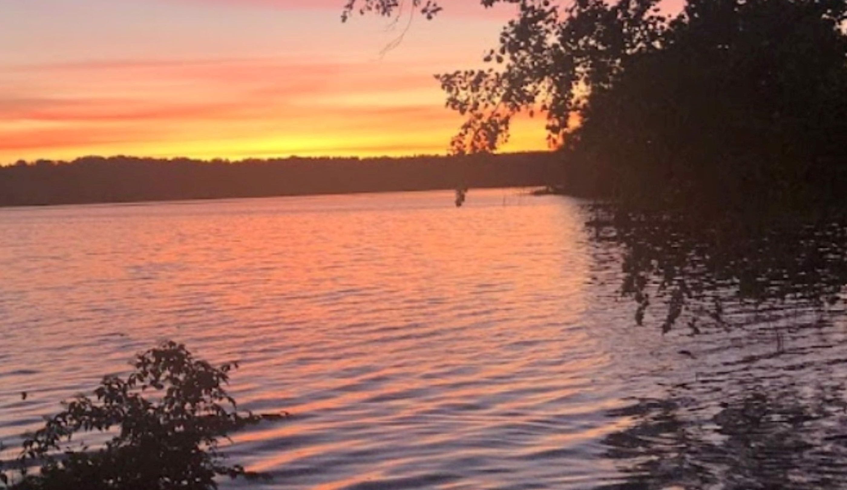 System.Collections.Generic.List`1[BluePillow.Application.SearchEngine.Dto.PhotoDto]?.ElementAt(1)?.Caption