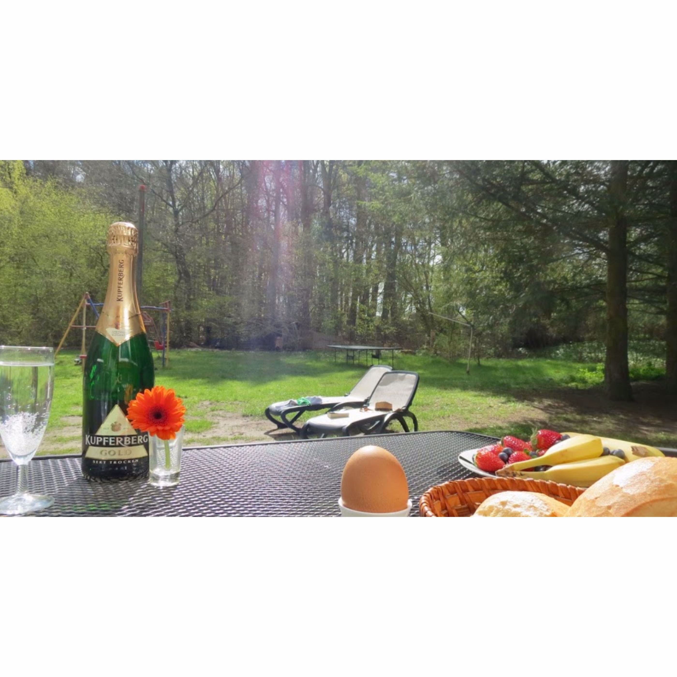 System.Collections.Generic.List`1[BluePillow.Application.SearchEngine.Dto.PhotoDto]?.ElementAt(0)?.Caption