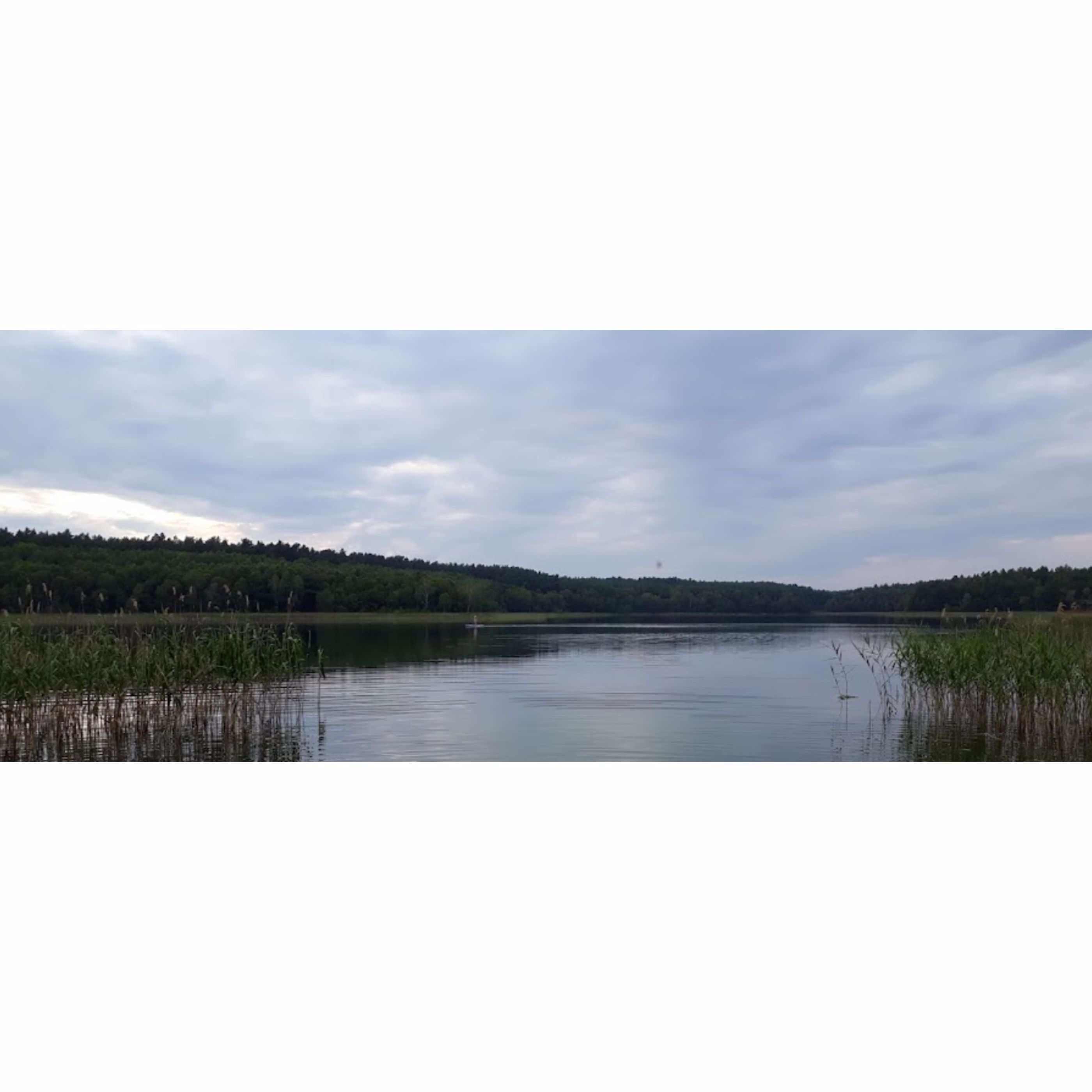 System.Collections.Generic.List`1[BluePillow.Application.SearchEngine.Dto.PhotoDto]?.ElementAt(2)?.Caption