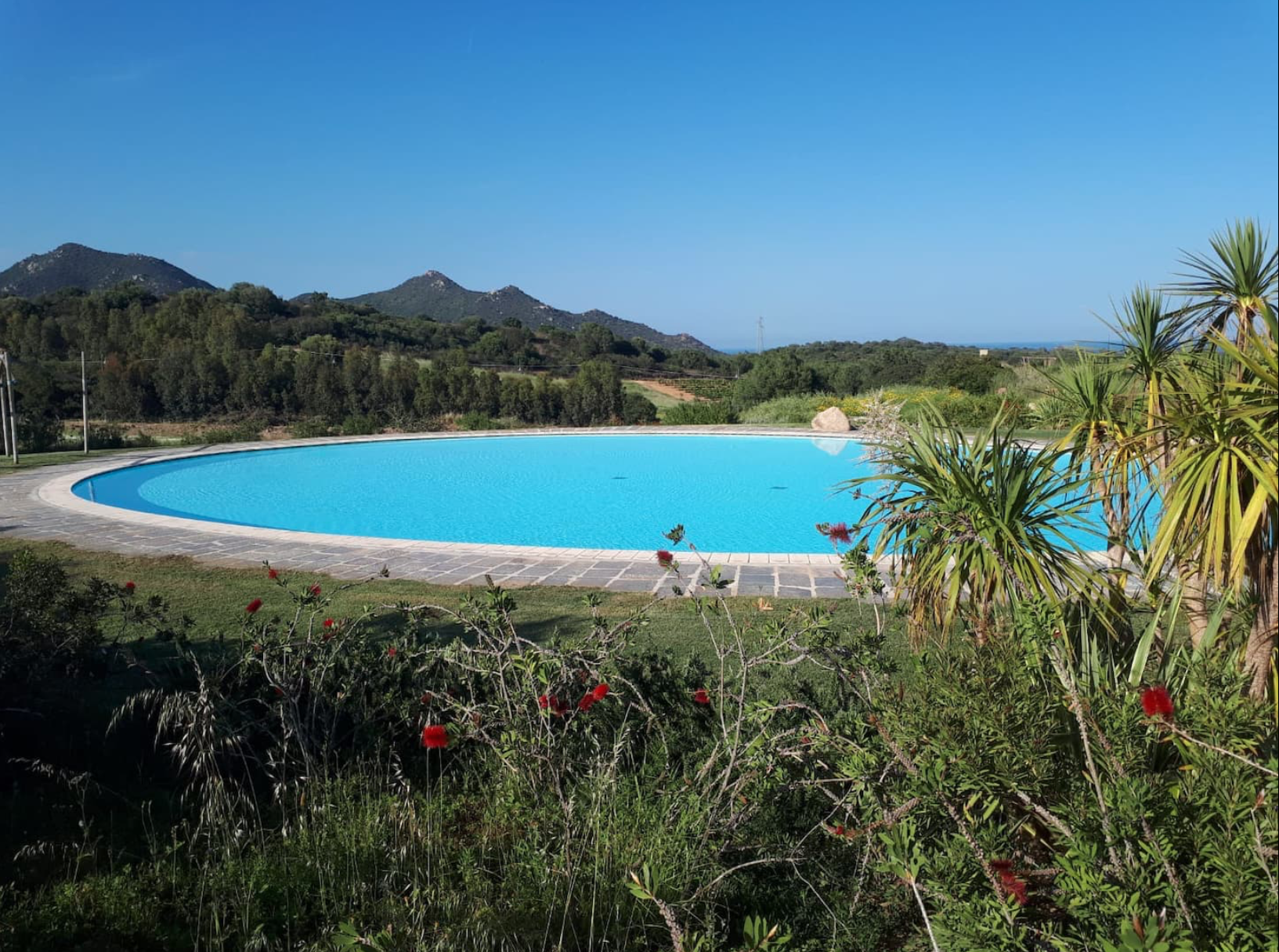 System.Collections.Generic.List`1[BluePillow.Application.SearchEngine.Dto.PhotoDto]?.ElementAt(0)?.Caption