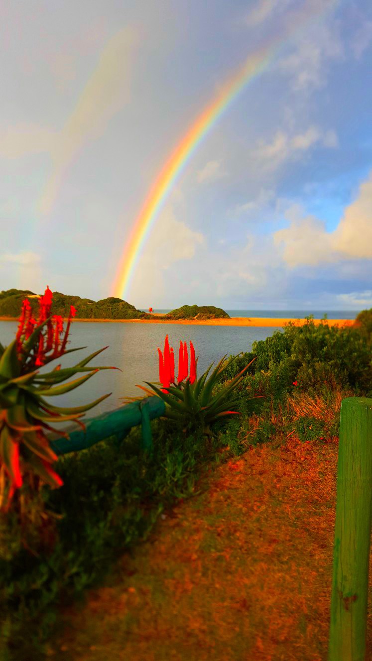 System.Collections.Generic.List`1[BluePillow.Application.SearchEngine.Dto.PhotoDto]?.ElementAt(0)?.Caption