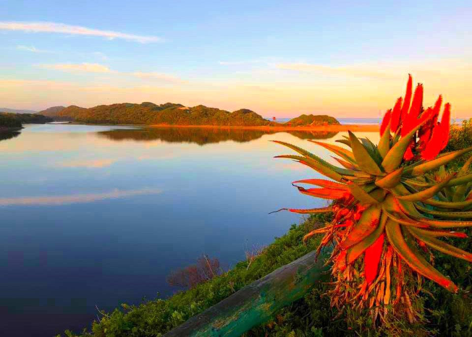 System.Collections.Generic.List`1[BluePillow.Application.SearchEngine.Dto.PhotoDto]?.ElementAt(1)?.Caption