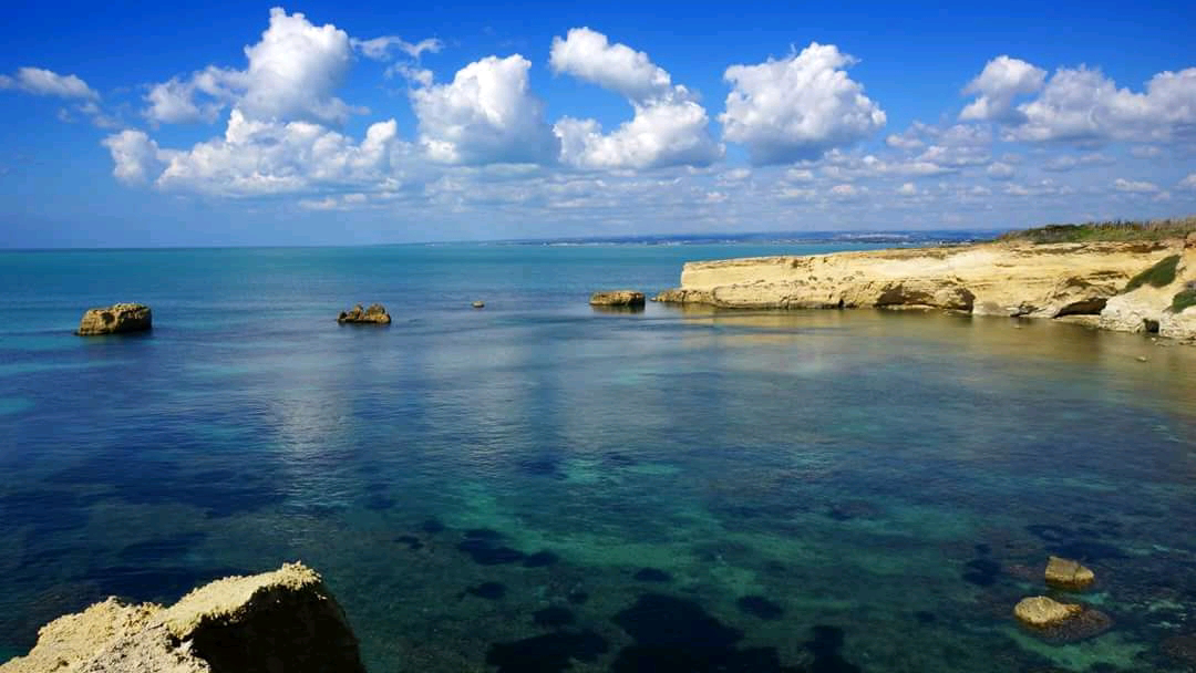 System.Collections.Generic.List`1[BluePillow.Application.SearchEngine.Dto.PhotoDto]?.ElementAt(2)?.Caption