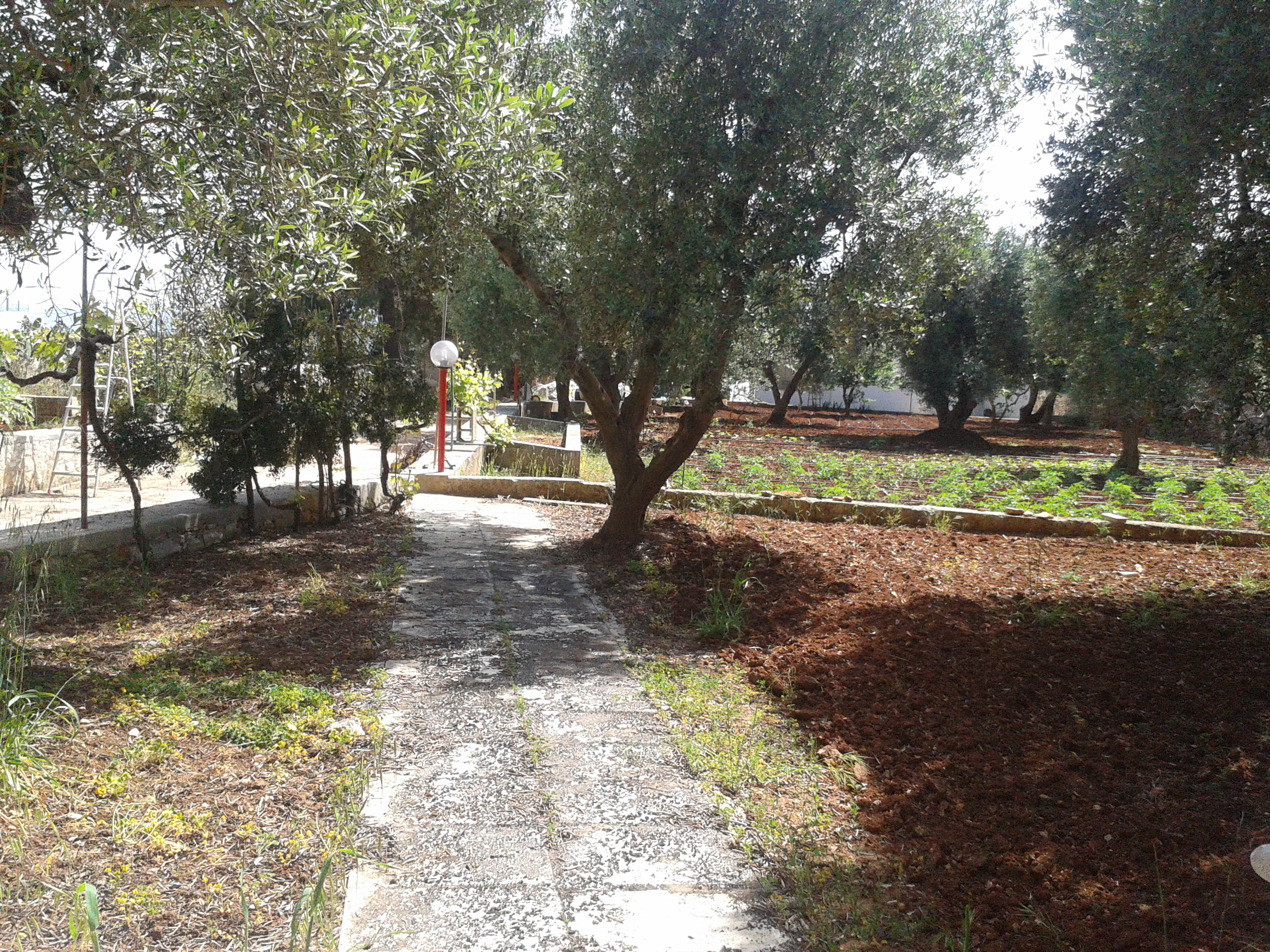 System.Collections.Generic.List`1[BluePillow.Application.SearchEngine.Dto.PhotoDto]?.ElementAt(2)?.Caption