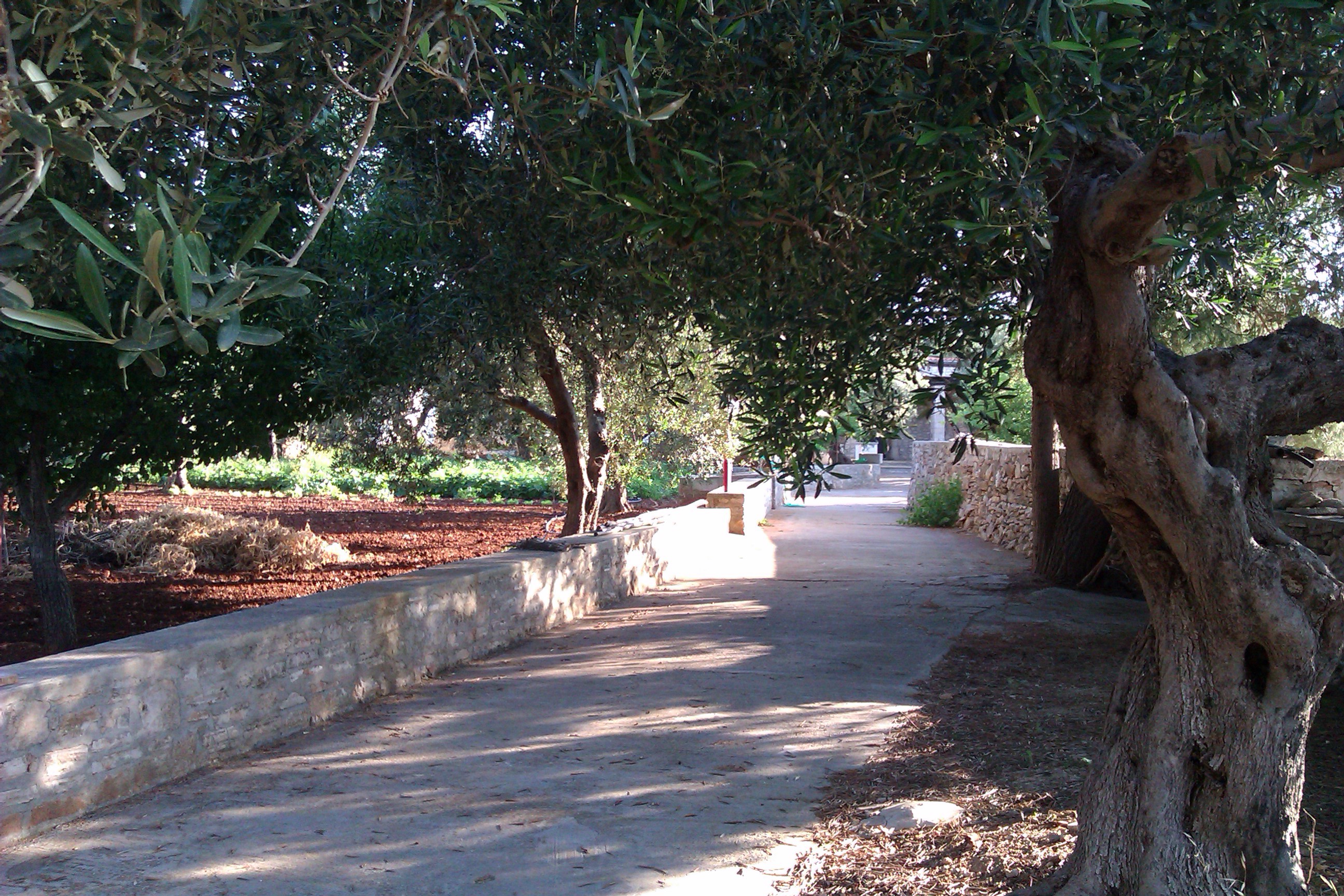 System.Collections.Generic.List`1[BluePillow.Application.SearchEngine.Dto.PhotoDto]?.ElementAt(1)?.Caption