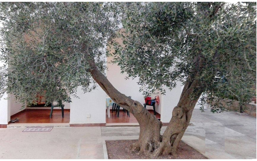 System.Collections.Generic.List`1[BluePillow.Application.SearchEngine.Dto.PhotoDto]?.ElementAt(0)?.Caption