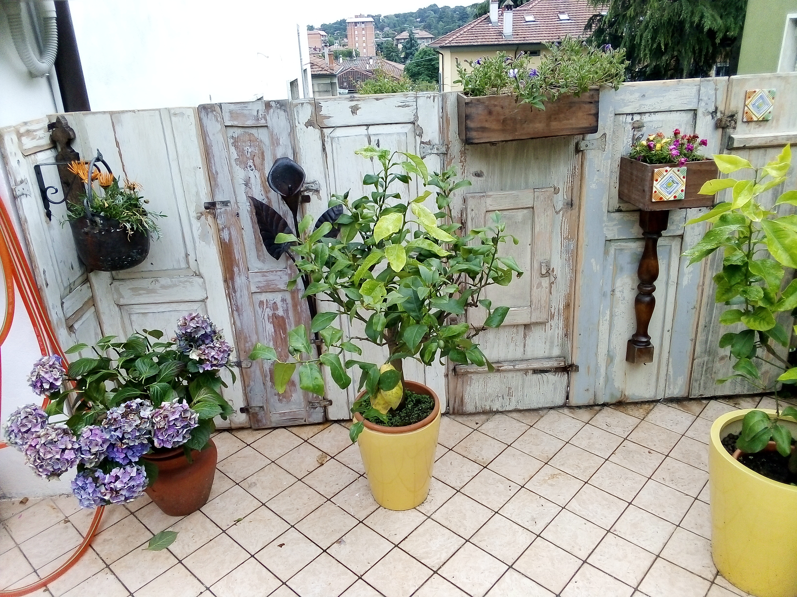 System.Collections.Generic.List`1[BluePillow.Application.SearchEngine.Dto.PhotoDto]?.ElementAt(2)?.Caption