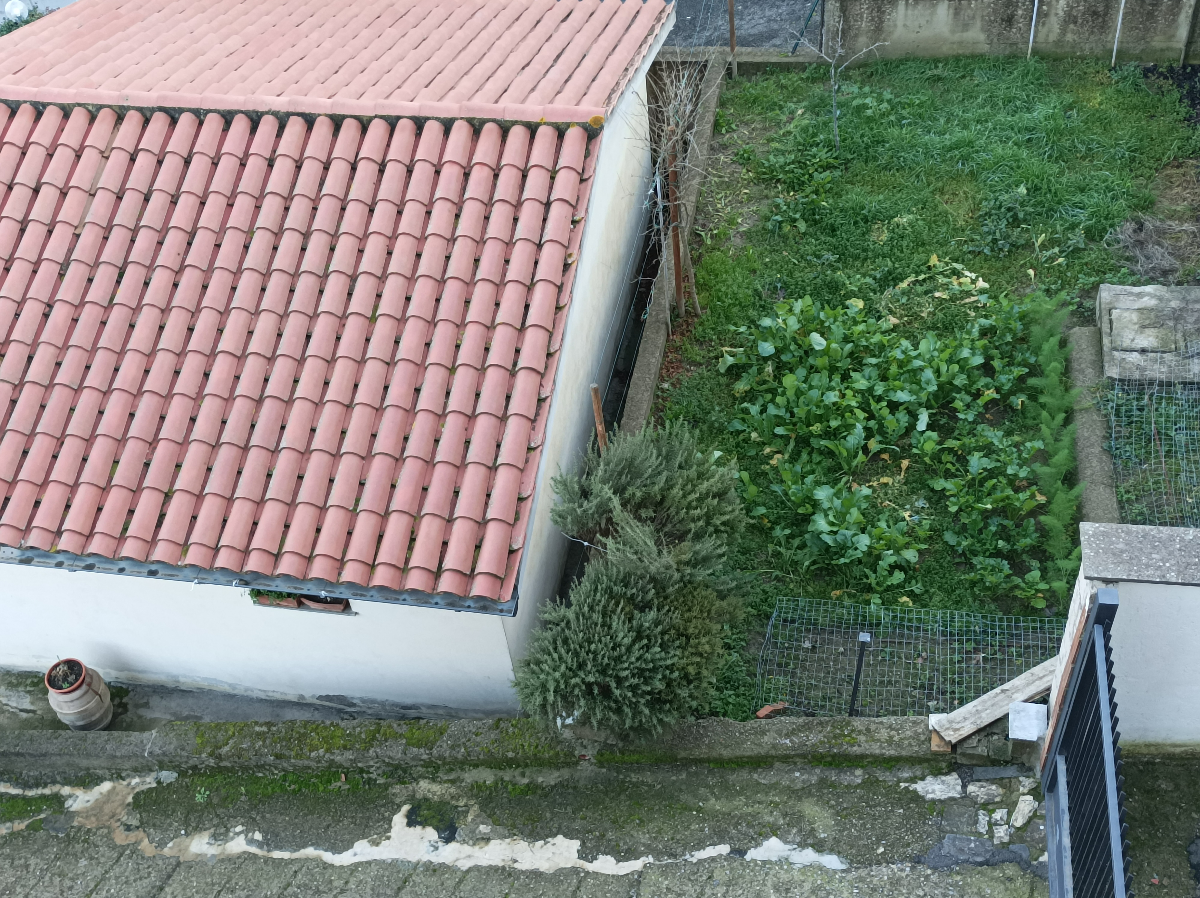 System.Collections.Generic.List`1[BluePillow.Application.SearchEngine.Dto.PhotoDto]?.ElementAt(1)?.Caption