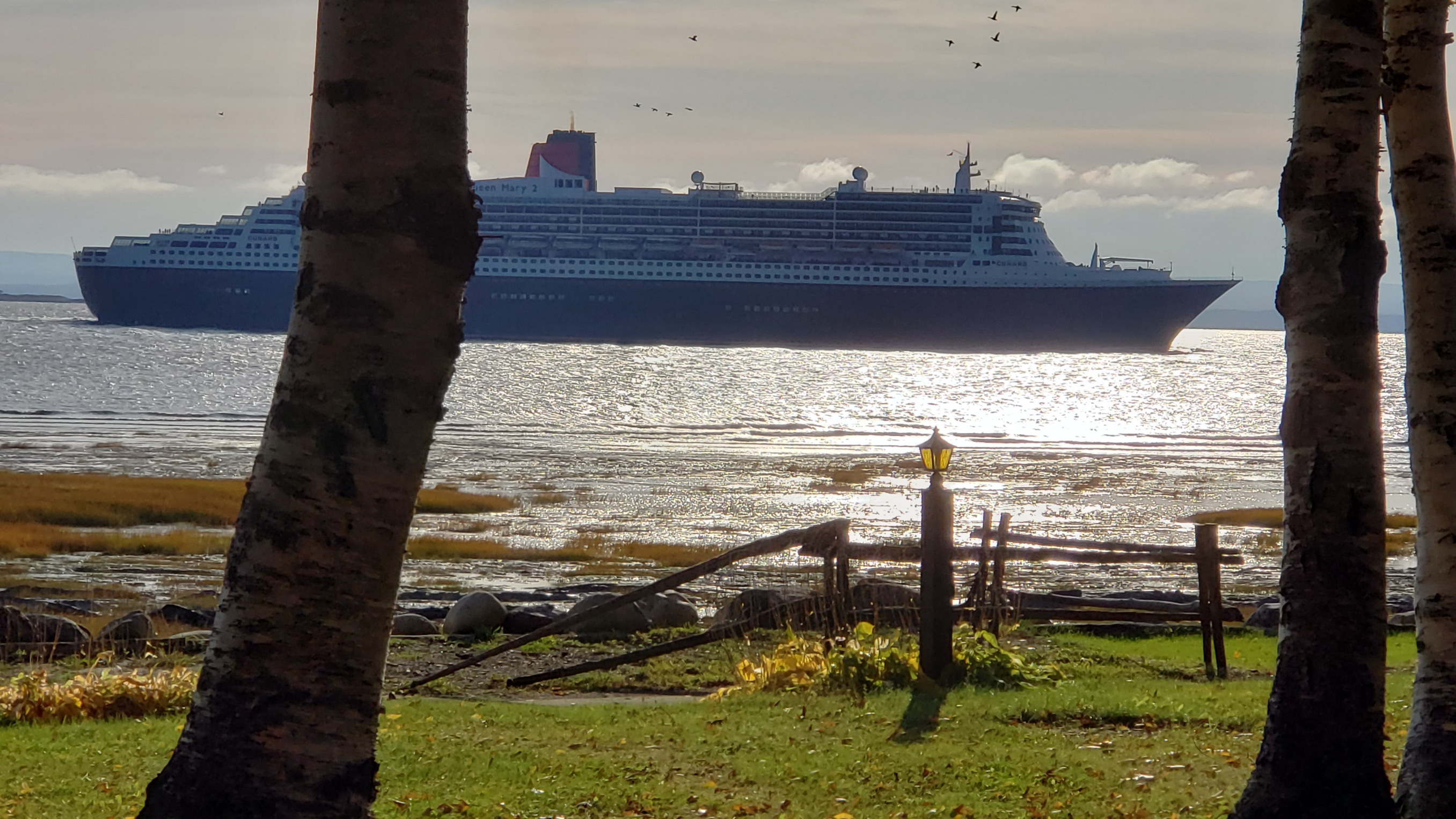 System.Collections.Generic.List`1[BluePillow.Application.SearchEngine.Dto.PhotoDto]?.ElementAt(1)?.Caption