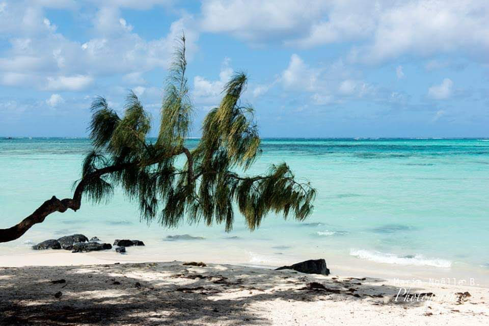 System.Collections.Generic.List`1[BluePillow.Application.SearchEngine.Dto.PhotoDto]?.ElementAt(1)?.Caption