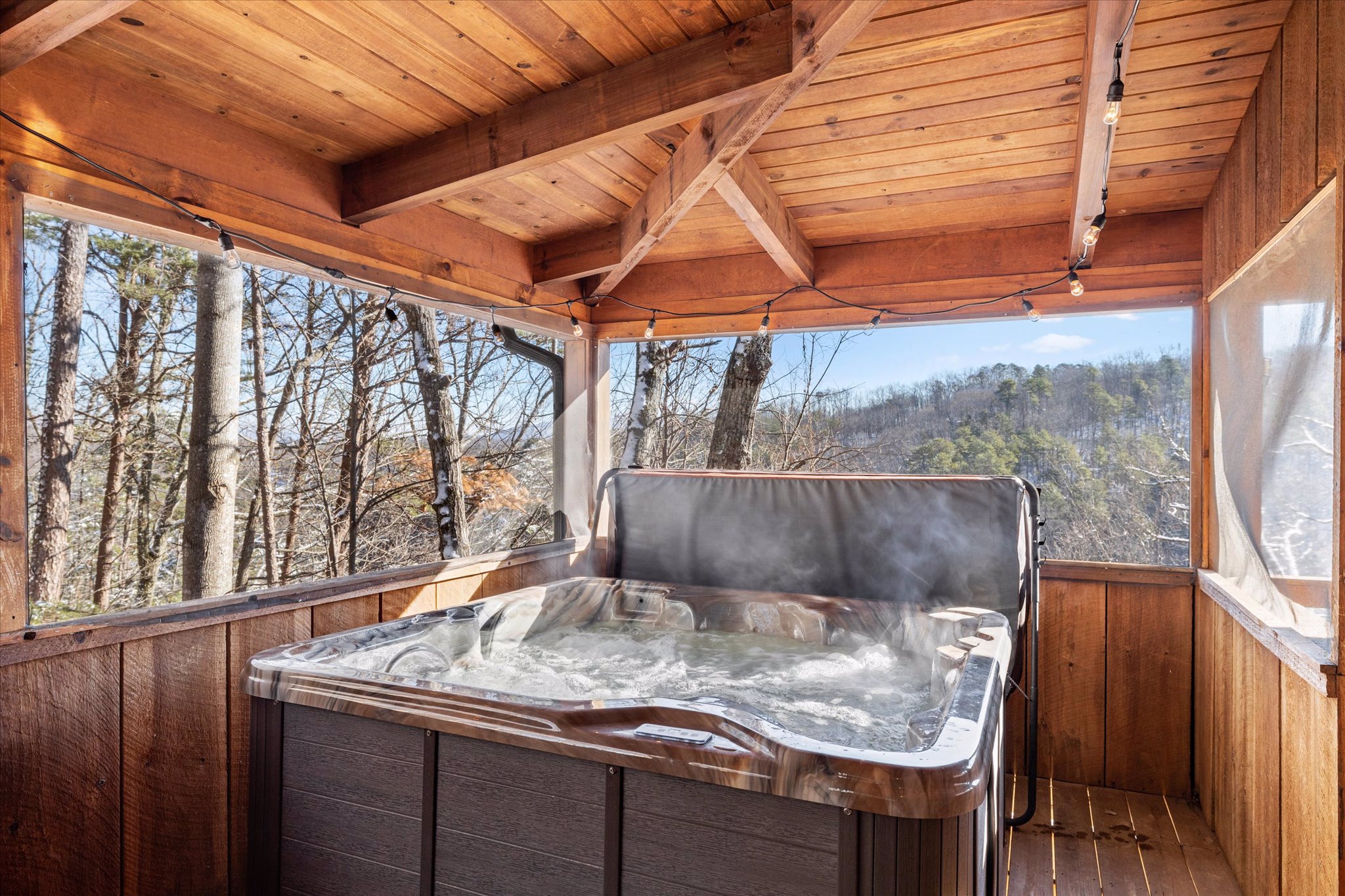 System.Collections.Generic.List`1[BluePillow.Application.SearchEngine.Dto.PhotoDto]?.ElementAt(1)?.Caption