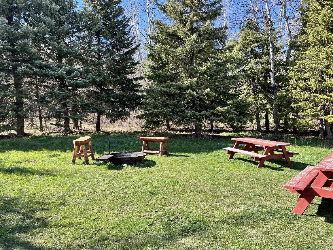 System.Collections.Generic.List`1[BluePillow.Application.SearchEngine.Dto.PhotoDto]?.ElementAt(1)?.Caption