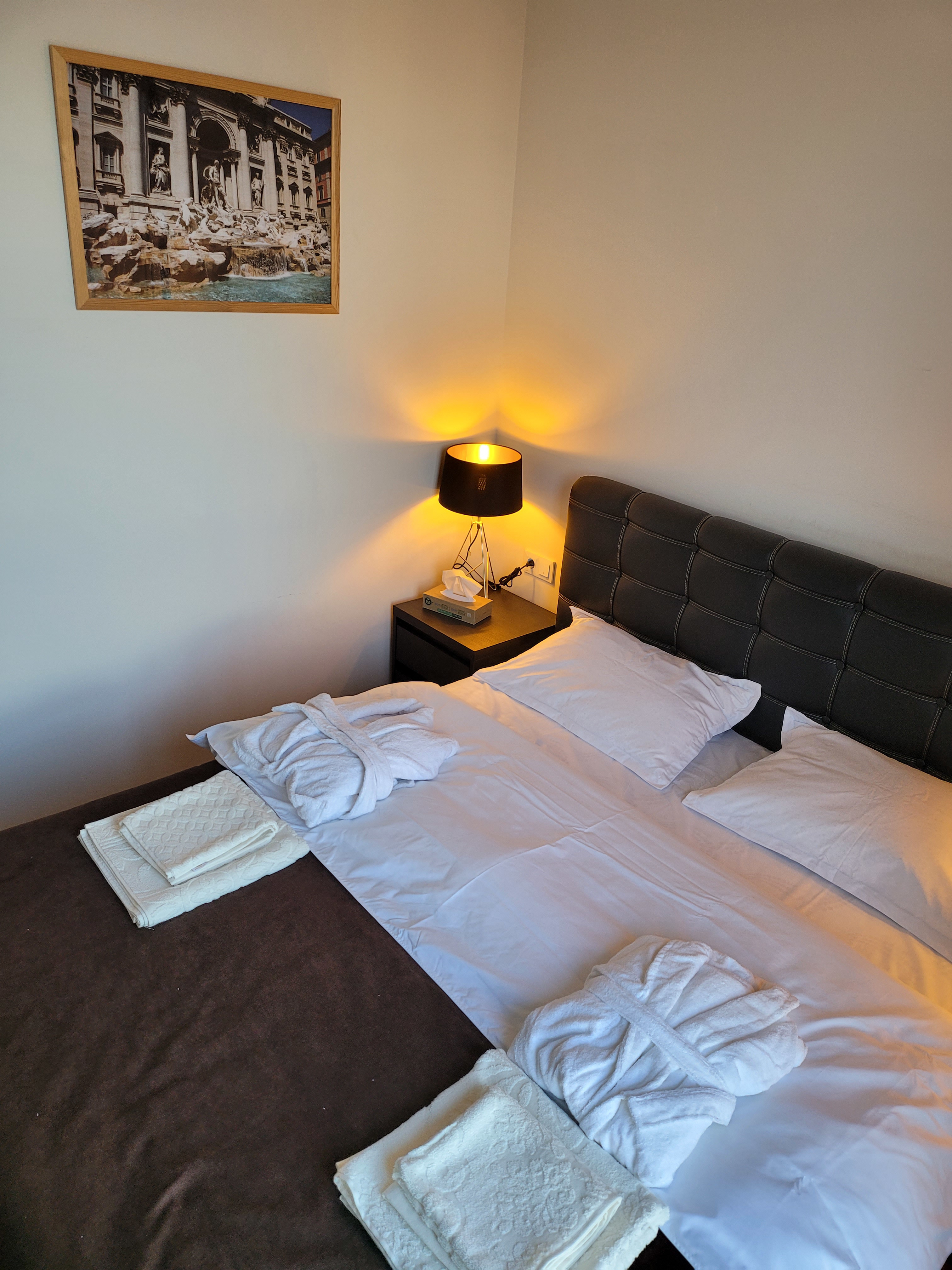 System.Collections.Generic.List`1[BluePillow.Application.SearchEngine.Dto.PhotoDto]?.ElementAt(1)?.Caption