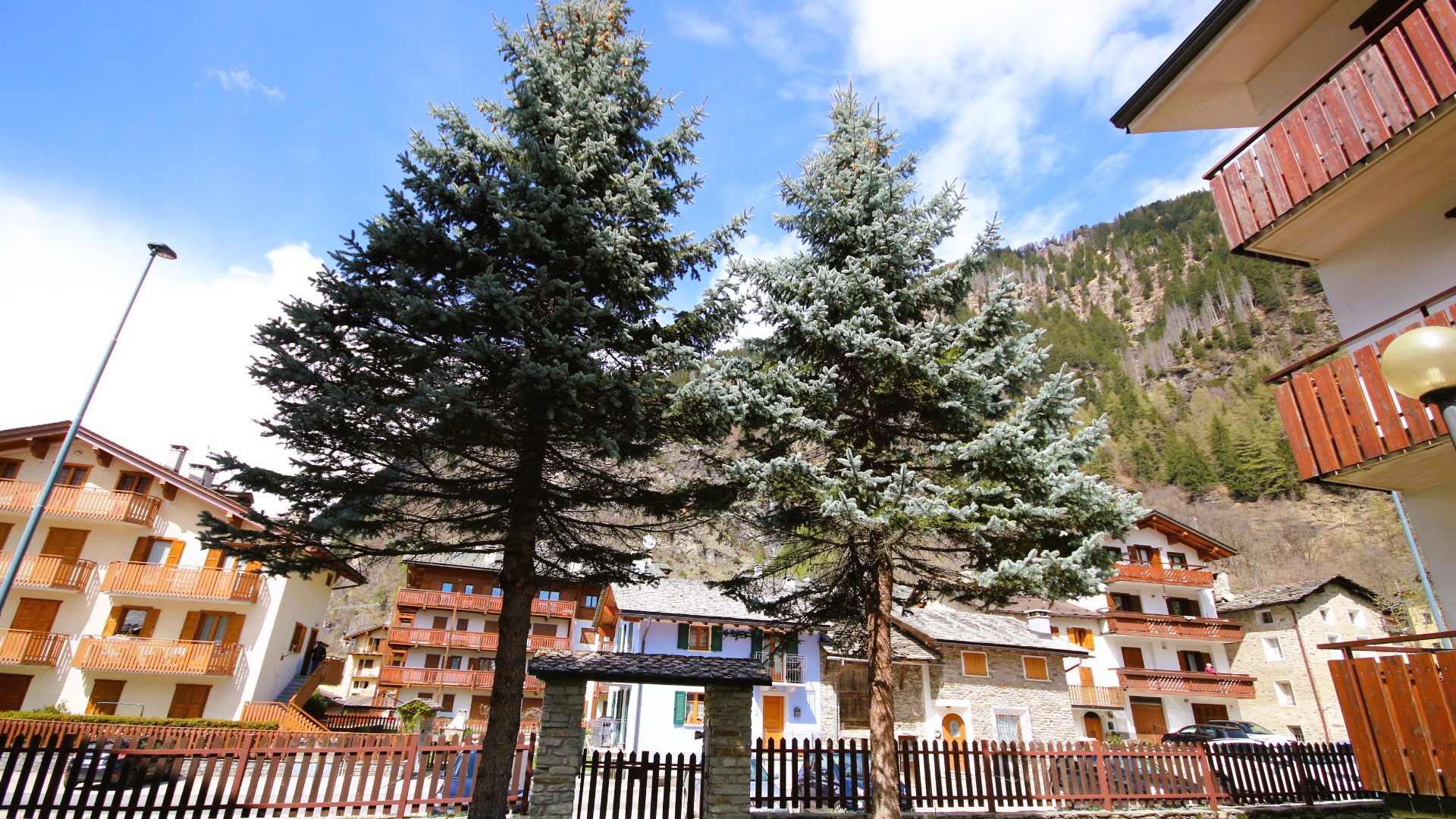 System.Collections.Generic.List`1[BluePillow.Application.SearchEngine.Dto.PhotoDto]?.ElementAt(2)?.Caption