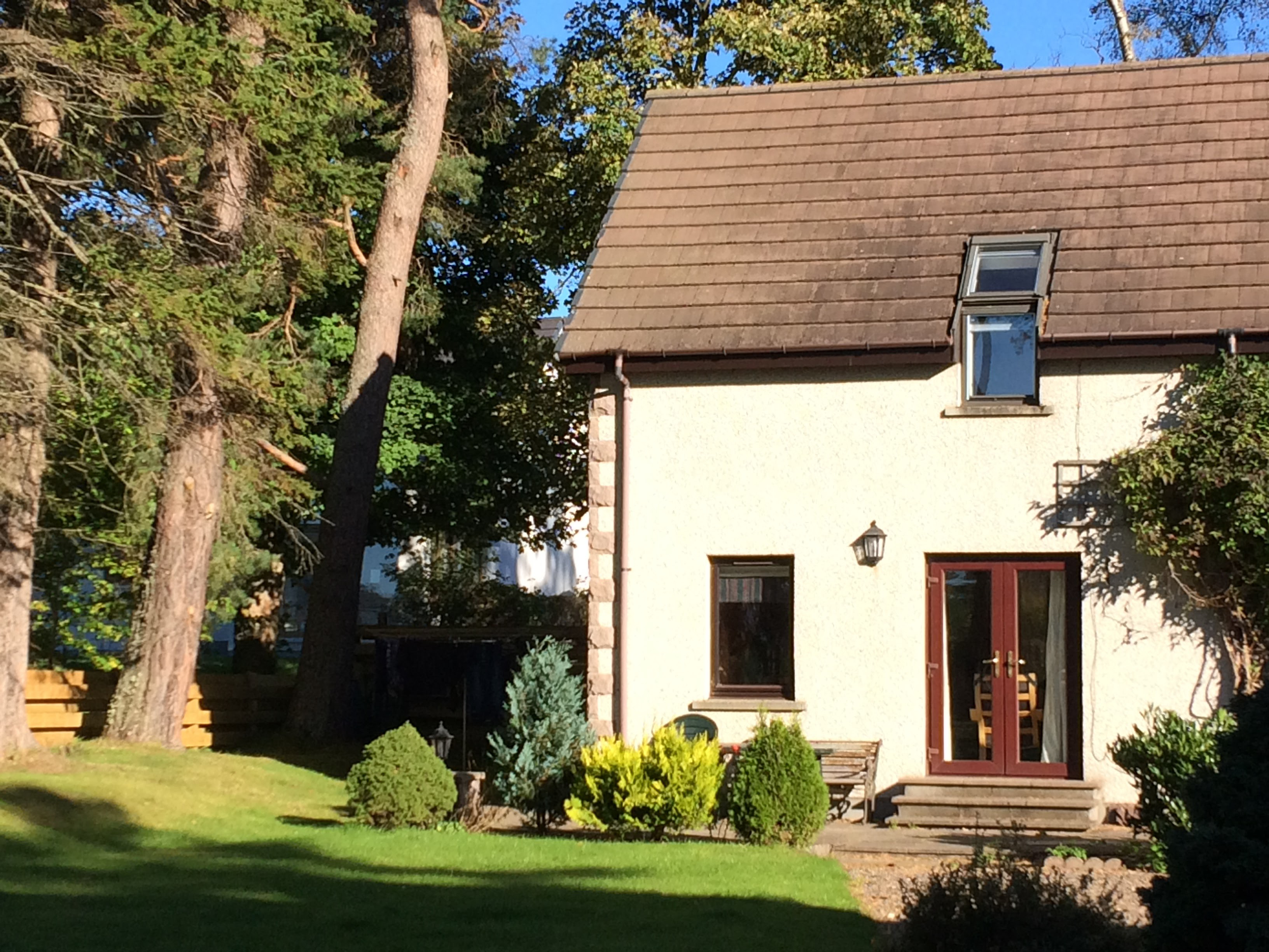 System.Collections.Generic.List`1[BluePillow.Application.SearchEngine.Dto.PhotoDto]?.ElementAt(0)?.Caption