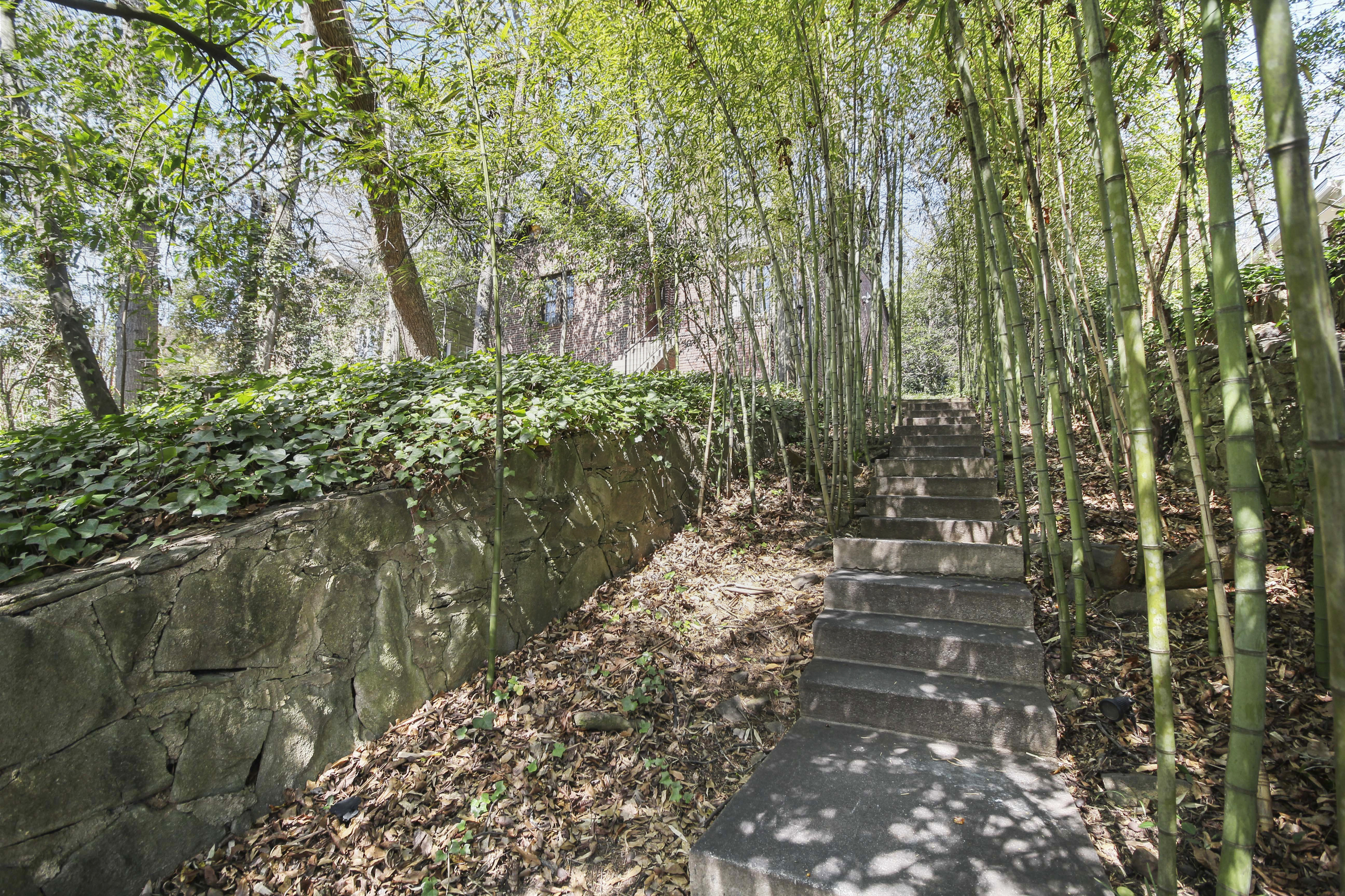 System.Collections.Generic.List`1[BluePillow.Application.SearchEngine.Dto.PhotoDto]?.ElementAt(3)?.Caption