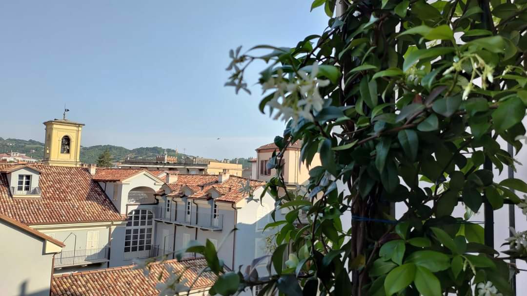 System.Collections.Generic.List`1[BluePillow.Application.SearchEngine.Dto.PhotoDto]?.ElementAt(0)?.Caption