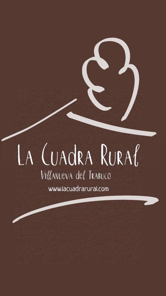 System.Collections.Generic.List`1[BluePillow.Application.SearchEngine.Dto.PhotoDto]?.ElementAt(1)?.Caption