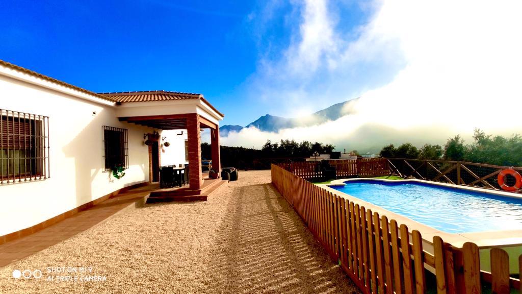 System.Collections.Generic.List`1[BluePillow.Application.SearchEngine.Dto.PhotoDto]?.ElementAt(0)?.Caption