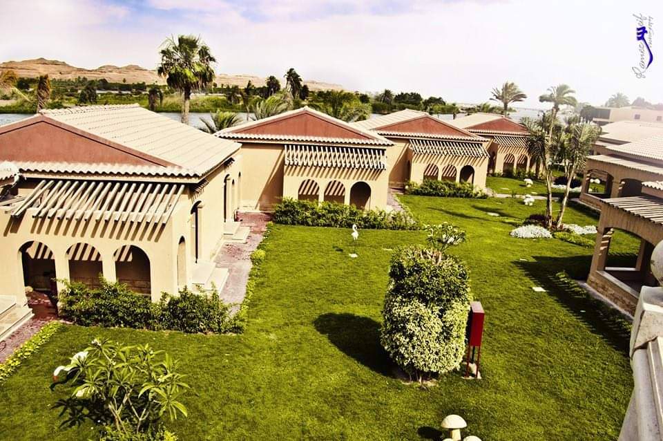 System.Collections.Generic.List`1[BluePillow.Application.SearchEngine.Dto.PhotoDto]?.ElementAt(0)?.Caption