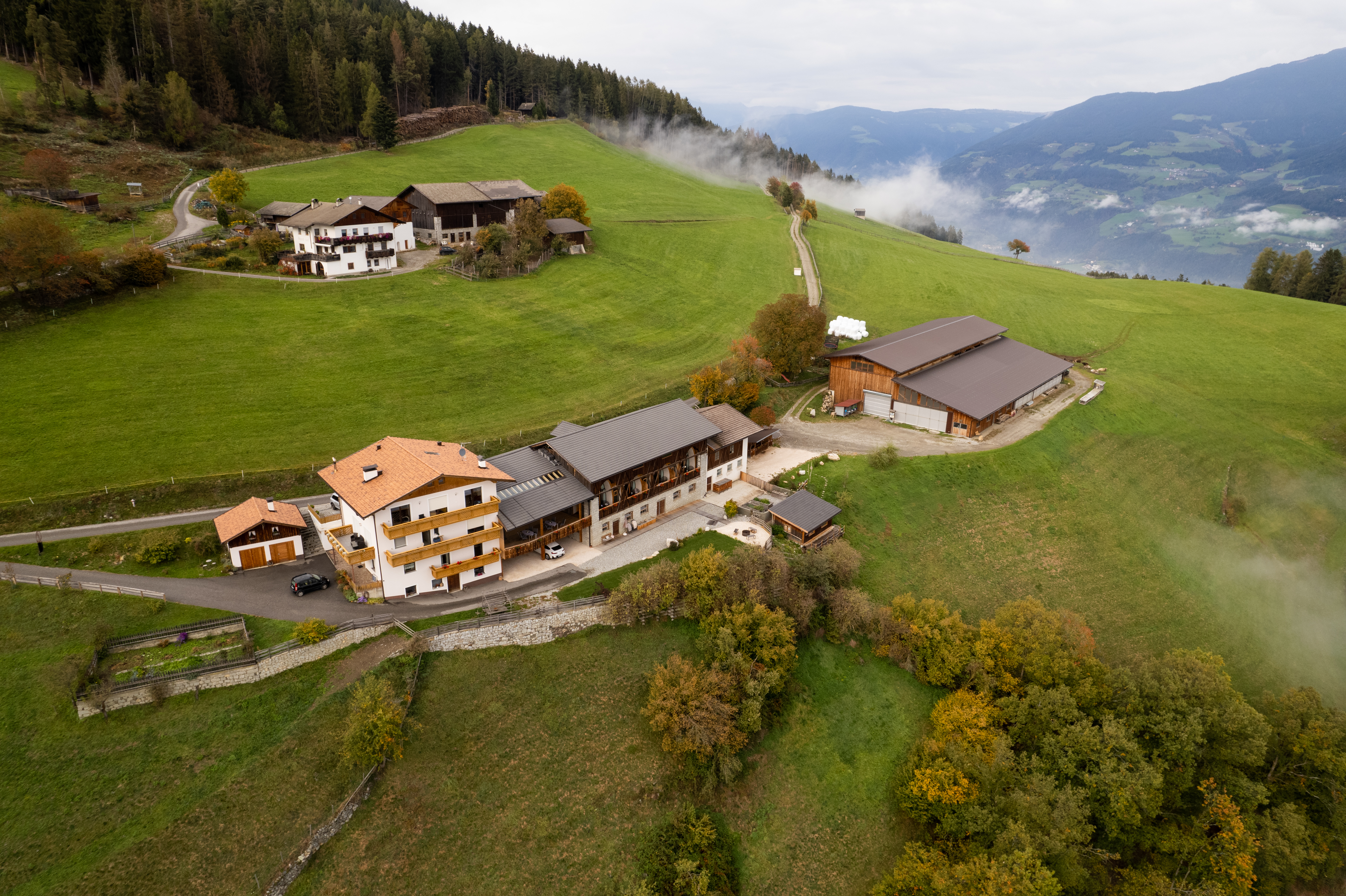 System.Collections.Generic.List`1[BluePillow.Application.SearchEngine.Dto.PhotoDto]?.ElementAt(1)?.Caption