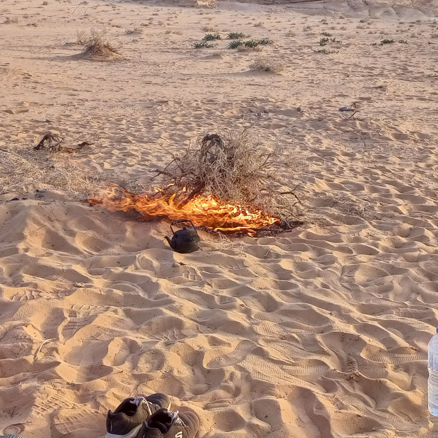 System.Collections.Generic.List`1[BluePillow.Application.SearchEngine.Dto.PhotoDto]?.ElementAt(2)?.Caption