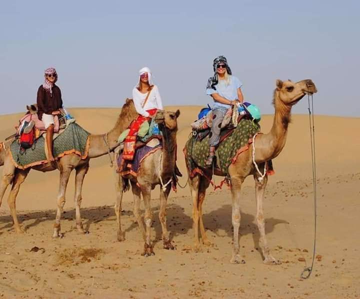 System.Collections.Generic.List`1[BluePillow.Application.SearchEngine.Dto.PhotoDto]?.ElementAt(2)?.Caption