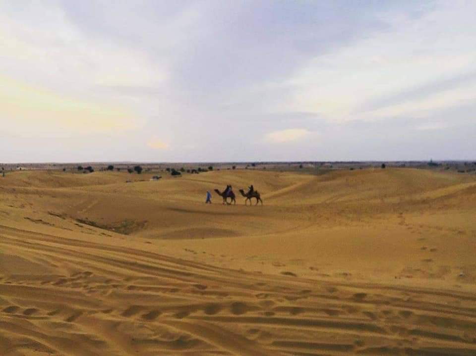 System.Collections.Generic.List`1[BluePillow.Application.SearchEngine.Dto.PhotoDto]?.ElementAt(0)?.Caption