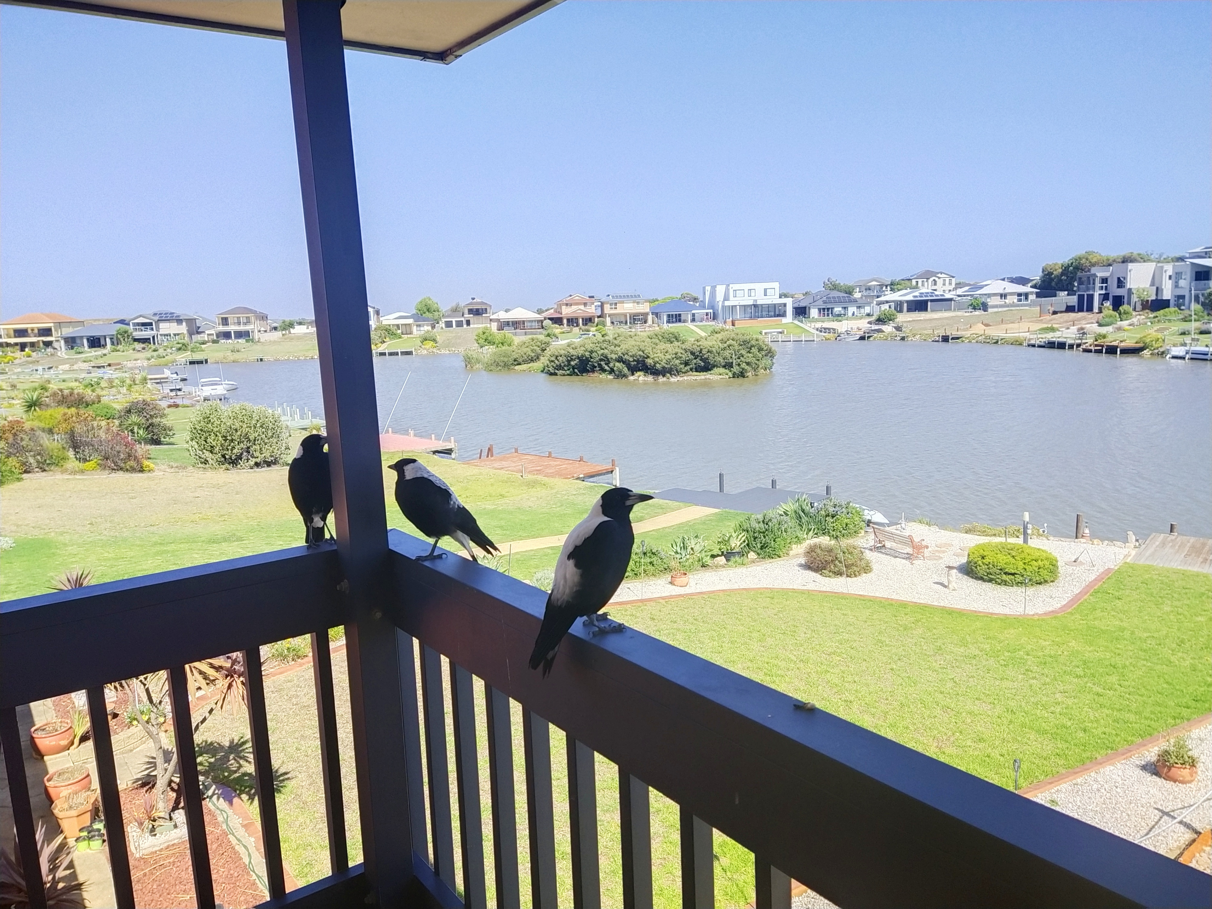 System.Collections.Generic.List`1[BluePillow.Application.SearchEngine.Dto.PhotoDto]?.ElementAt(0)?.Caption