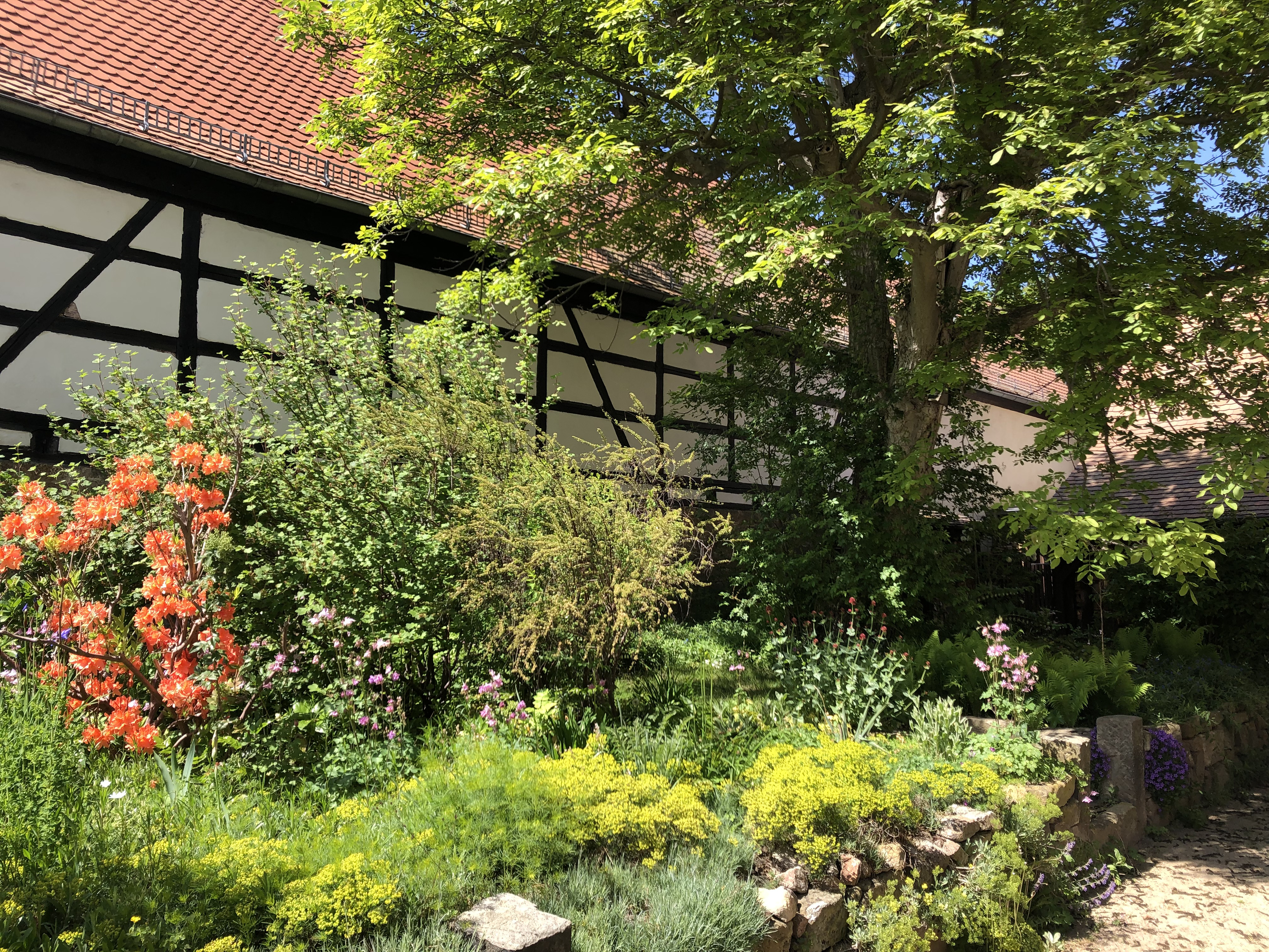 System.Collections.Generic.List`1[BluePillow.Application.SearchEngine.Dto.PhotoDto]?.ElementAt(2)?.Caption