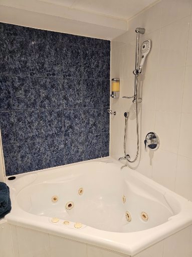 System.Collections.Generic.List`1[BluePillow.Application.SearchEngine.Dto.PhotoDto]?.ElementAt(1)?.Caption