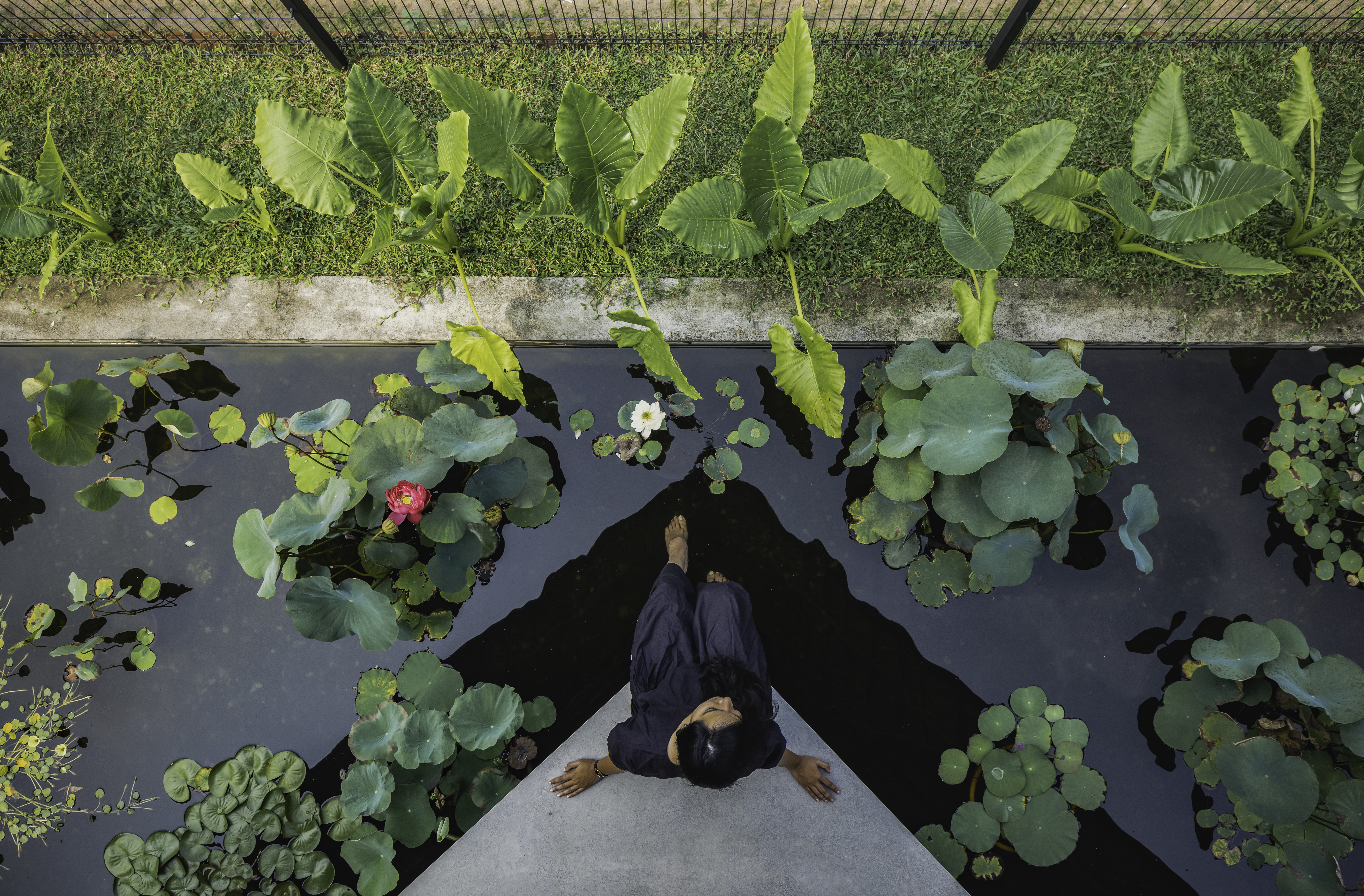 System.Collections.Generic.List`1[BluePillow.Application.SearchEngine.Dto.PhotoDto]?.ElementAt(1)?.Caption