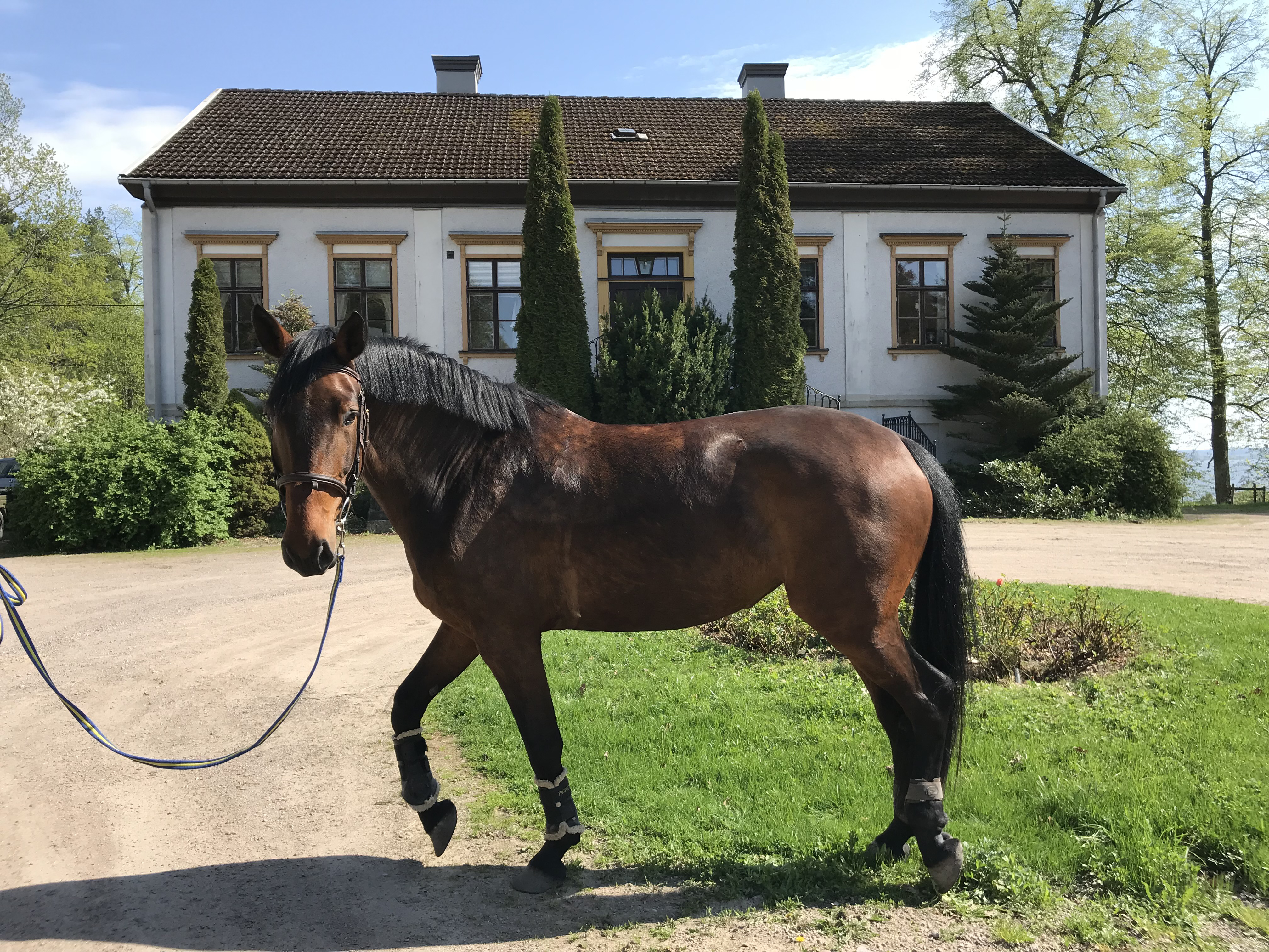 System.Collections.Generic.List`1[BluePillow.Application.SearchEngine.Dto.PhotoDto]?.ElementAt(0)?.Caption