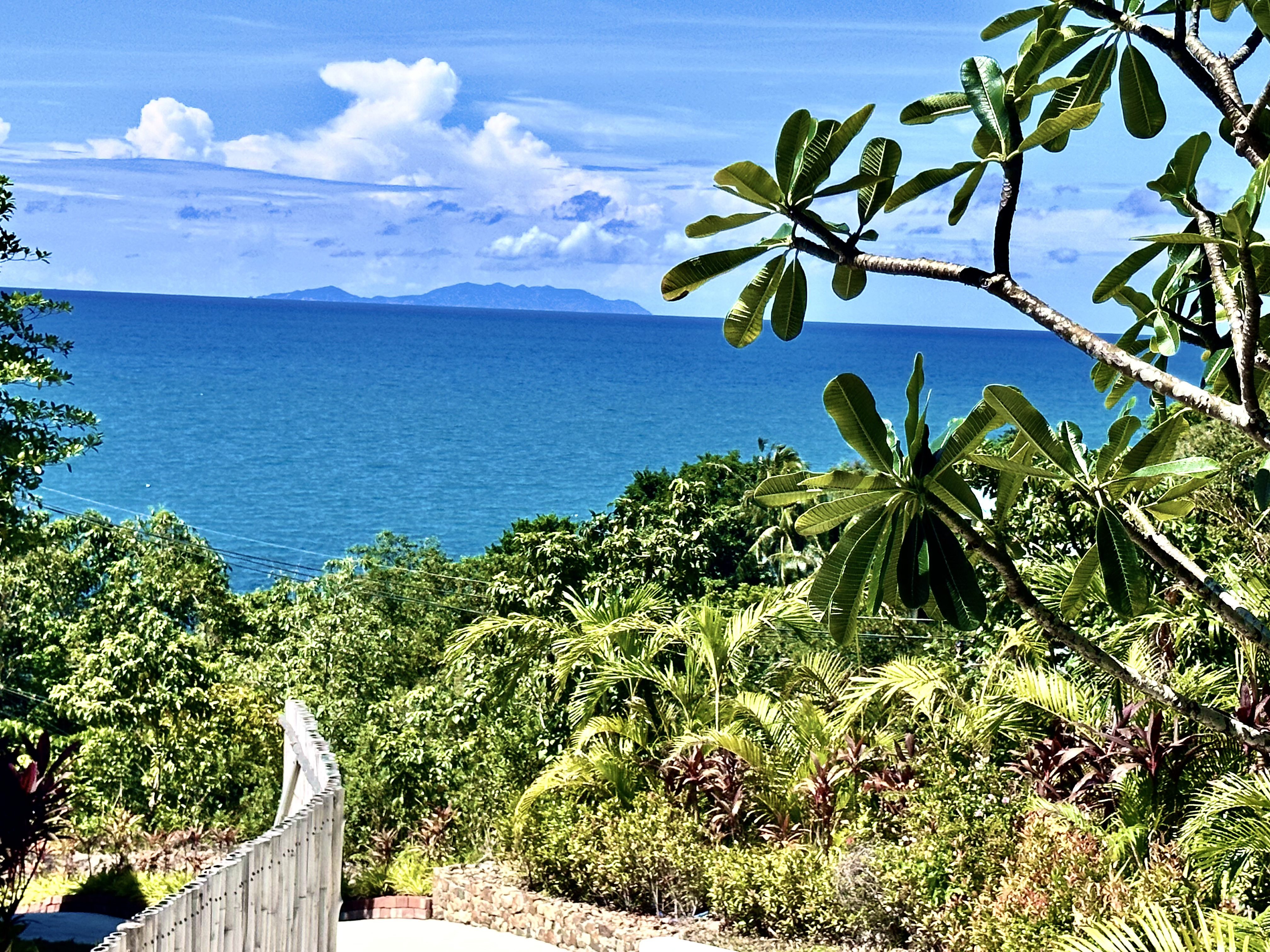 System.Collections.Generic.List`1[BluePillow.Application.SearchEngine.Dto.PhotoDto]?.ElementAt(2)?.Caption